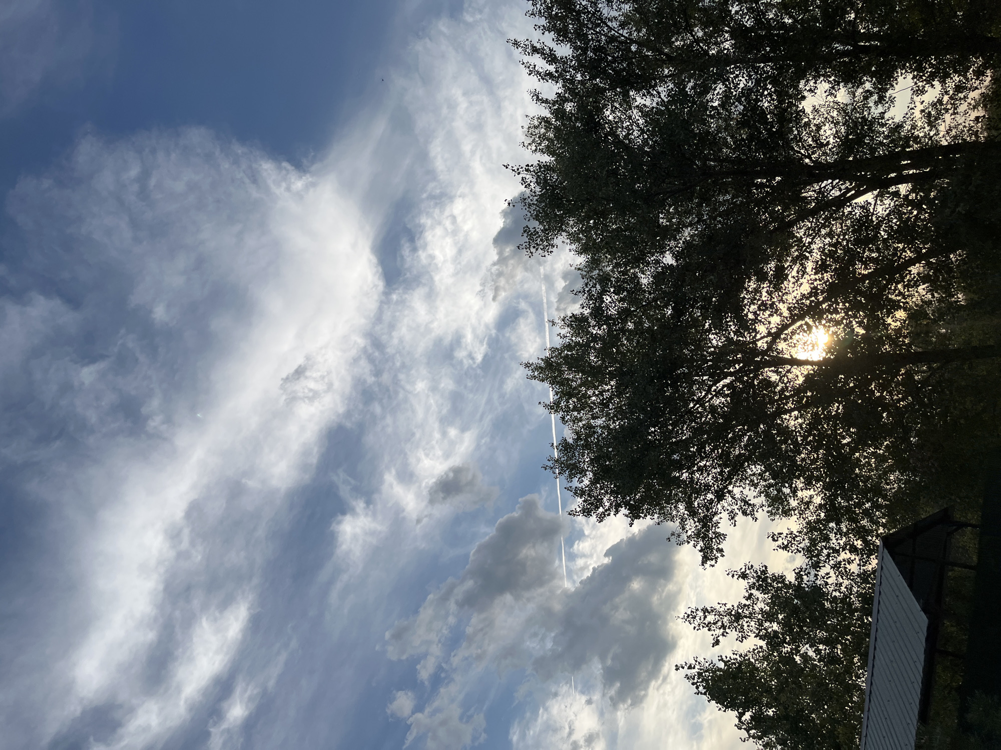 This is a photograph taken outdoors, likely in or near the city of Shumeyka, Russia. The image depicts a cloudy sky with wispy cirrus clouds and patches of darker, more diffused clouds. The sun is partially visible through the trees, casting a warm glow. In the foreground, silhouetted trees with dense foliage occupy the lower portion of the frame. To the left, a portion of a roof, possibly belonging to a structure like a gazebo or shed, is visible. A faint contrail from an aircraft stretches across the sky. The overall impression is of a late afternoon or early evening sky.