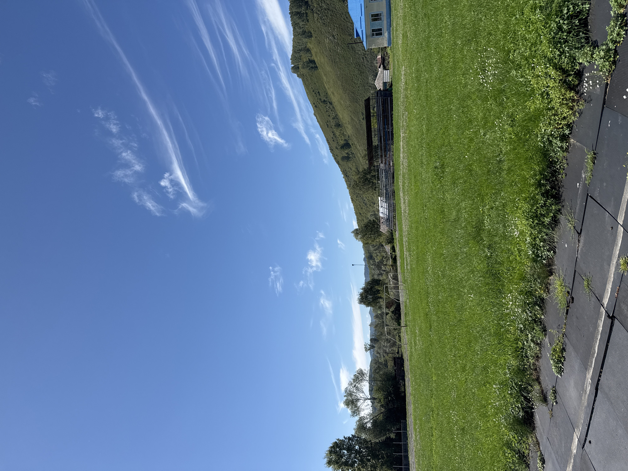 The image depicts an outdoor scene in Soloneshnoye, Russia, under a clear blue sky with wispy white clouds. A vast, vibrant green lawn dominates the foreground and midground, dotted with small white wildflowers. To the left of the lawn, a black material is laid out, with some vegetation growing through it. In the middle distance, a soccer goal is visible on the green field. Beyond the field, a set of bleachers is situated in front of a long, open-sided structure. Further to the right, a light-colored building with a blue roof stands. The background features a lush, green, tree-covered hill that slopes upwards towards the sky. The overall impression is of a rural or semi-rural sports field on a bright, sunny day.
