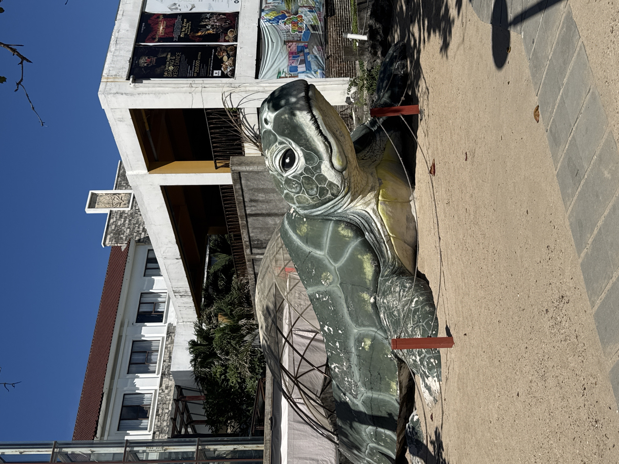 A large, weathered, sculpture of a sea turtle, likely made of concrete or a similar material, stands near a pedestrian walkway with gray pavers and a beige sidewalk. The turtle appears to be situated outdoors, with a metal framework supporting its shell. The building has signs with the text "Barong & Keris Dance" and "Bullet Dinner". The building itself is multi-story, with a white facade and dark windows. The sky is clear and blue, suggesting a sunny day.