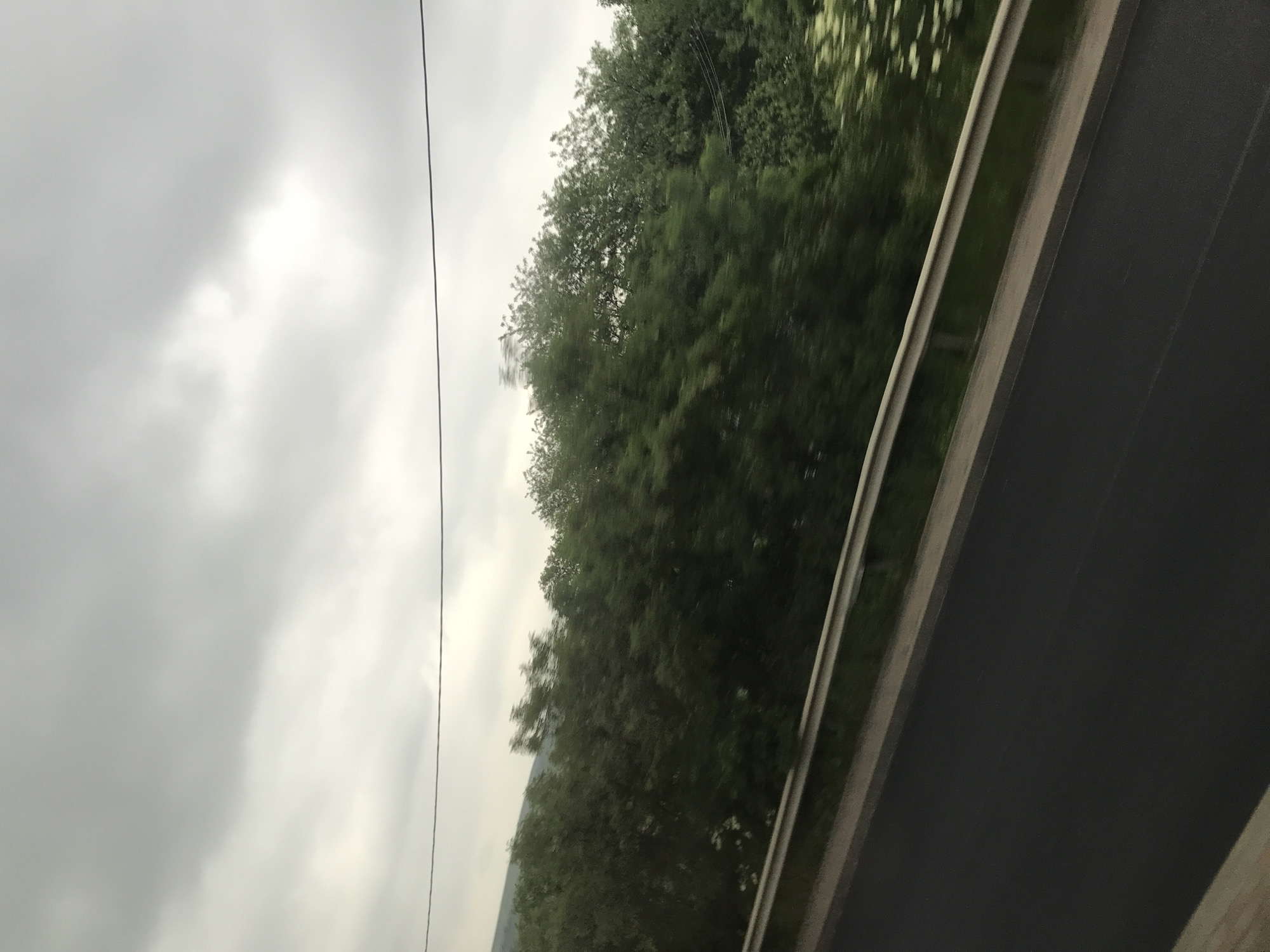 The image depicts a landscape scene captured from a moving vehicle in the city of Fălticeni, Romania, under an overcast sky. The upper portion of the frame is dominated by a uniform, light grey sky with discernible cloud formations. A thin, dark cable or power line stretches horizontally across the upper mid-ground. Below this, a dense expanse of green deciduous trees and bushes occupies the middle ground, exhibiting noticeable horizontal motion blur, particularly towards the left and center, indicative of movement. Some lighter green foliage and small clusters of white blossoms are visible within the vegetation on the right. In the distant background, faint outlines of hills or mountains are discernible. The lower foreground features a dark asphalt road, sloping diagonally from the bottom left to the center-right. A light-colored concrete curb runs parallel to the road, separated by a metallic guardrail that extends horizontally across the lower mid-ground, marking the boundary between the road and the dense roadside vegetation. No individuals or specific vehicles are identifiable within the frame.