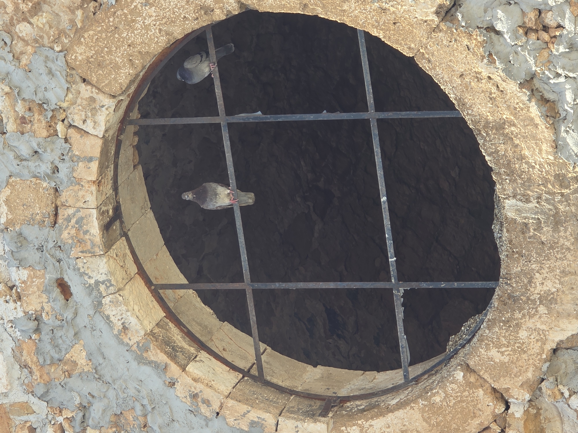Two pigeons perch on a metal grate set into a weathered, circular stone opening. The stone appears to be part of an old building, possibly a window or aperture in a wall. The opening looks into a dark, rocky interior. The building's exterior shows signs of age and repair, with rough-hewn stones and patches of grey cement. The scene is likely in Chania, Greece, given the architectural style and common presence of pigeons in such environments.