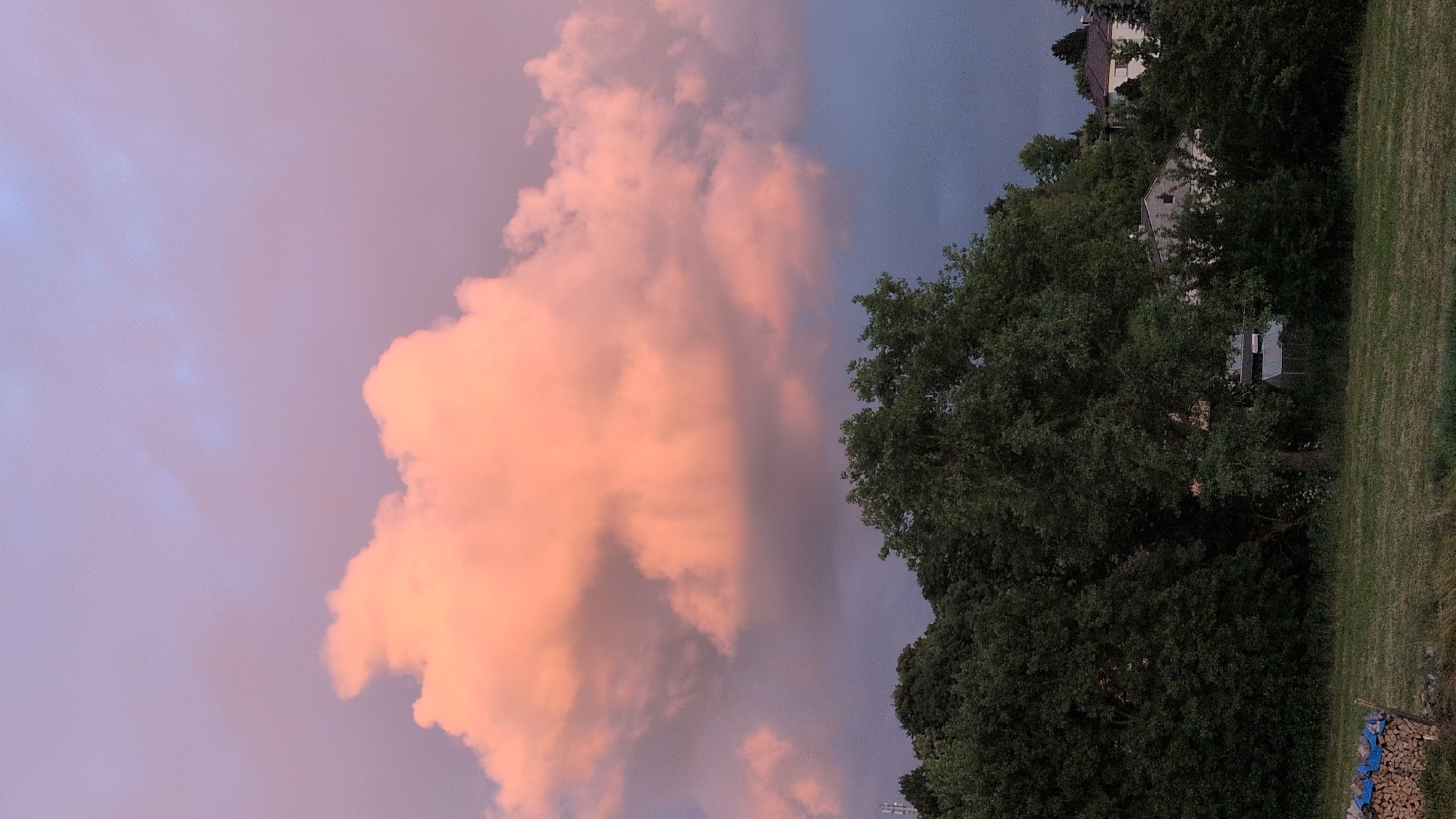 The image depicts a dusky sky with large, fluffy clouds tinted pink and purple. A dense line of dark green trees forms the horizon, with the tops of houses partially visible through the foliage. In the foreground, a grassy field with some dry patches stretches out, and to the left, a neatly stacked pile of firewood is visible, covered in blue tarp. The scene appears to be an outdoor setting in the vicinity of Rastenberg, Germany, at dusk. There are no people or active events captured in the image.