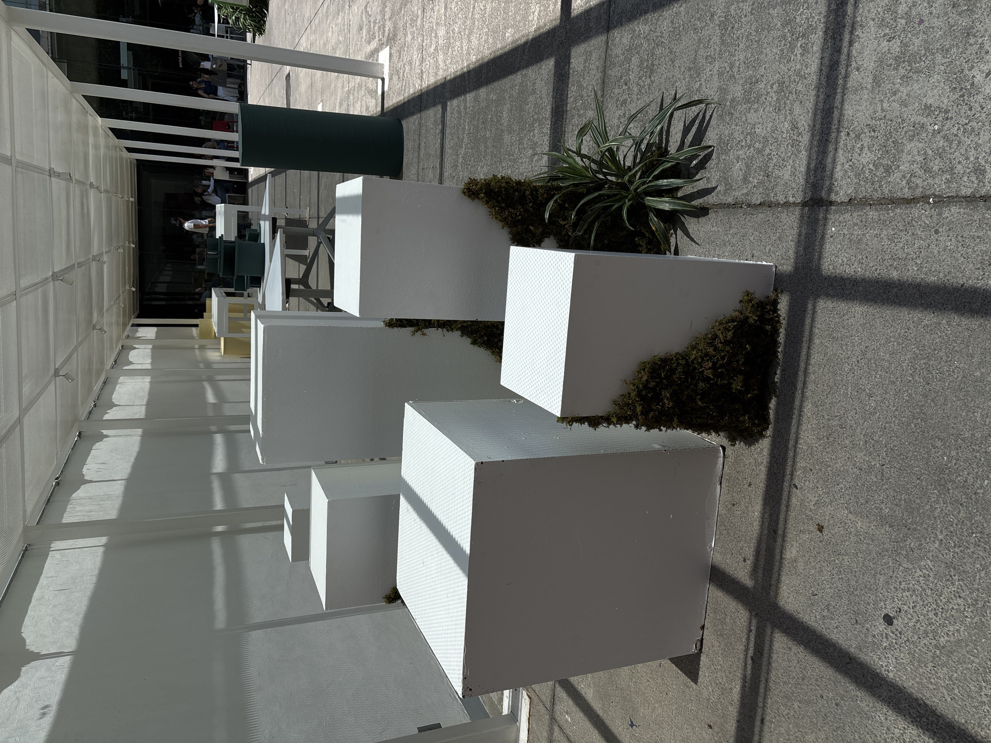 The image captures a sunlit, modern outdoor urban space, likely a walkway or cafe area in Mexico City. In the foreground and midground, a series of white, cube-shaped planters are arranged in a staggered pattern on a light grey concrete path. Several planters contain green foliage, including plants with long, variegated leaves resembling spider plants, and dark green moss or ground cover. The sides of some planters exhibit a subtle, perforated or corrugated texture, creating a dotted pattern from the light.
To the left, a long, white, open-sided structure, possibly a pergola or canopy, extends into the distance, providing partial shade. This structure casts prominent, elongated shadows across the concrete pathway, indicating bright daytime sun, likely morning or late afternoon.
In the background, under the canopy, an outdoor dining area is visible with several people seated at tables, suggesting a cafe or restaurant setting. A dark green cylindrical object stands vertically in this area. Beyond the seating, a building with reflective surfaces can be seen, partially reflecting elements of the surroundings. Faintly visible on one of these reflective surfaces is text that appears to be "portal.com" or similar. The overall atmosphere is bright and inviting, typical of a sunny day.