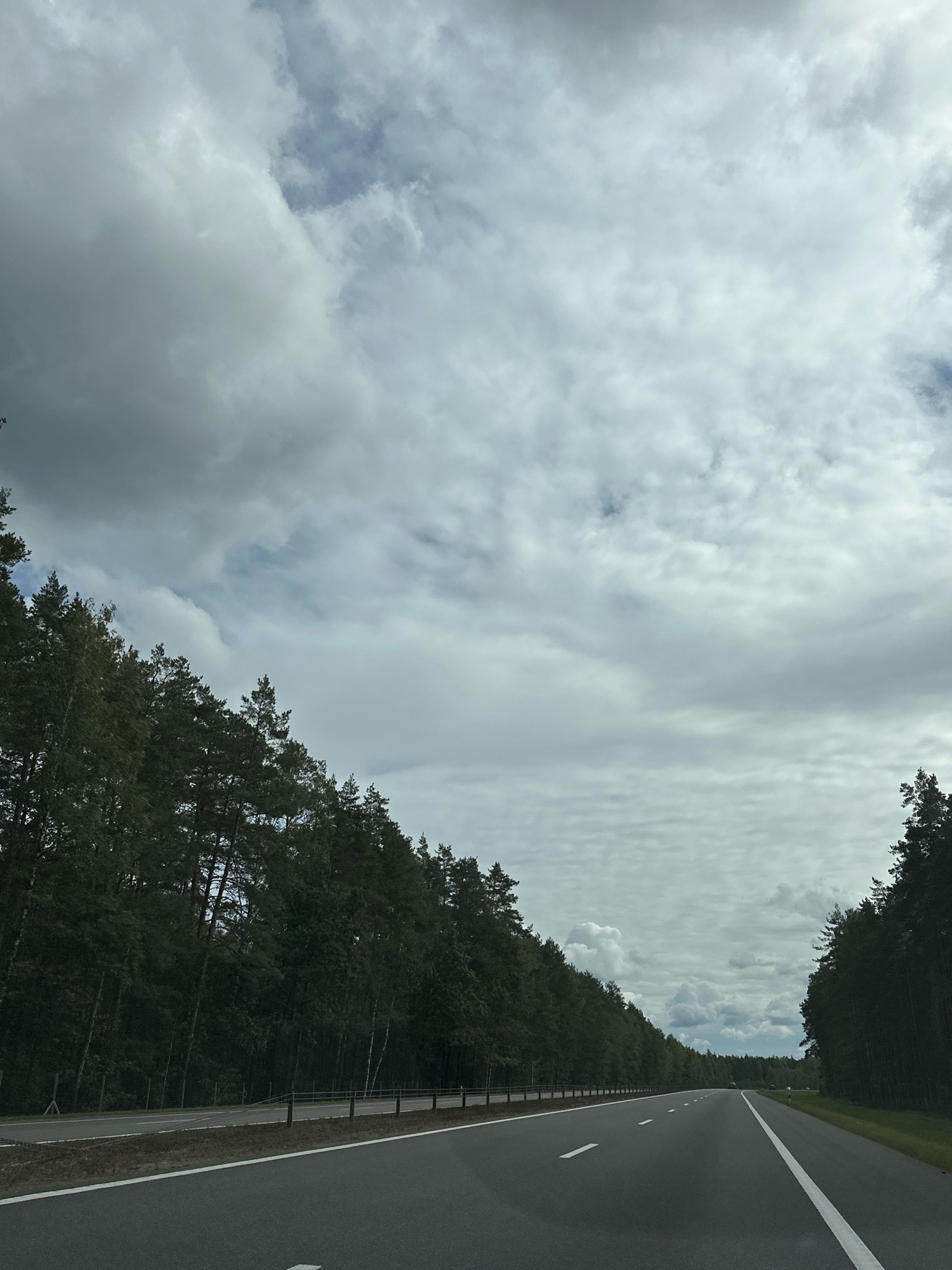The image shows a two-lane asphalt road bordered by a dense forest of coniferous and deciduous trees on both sides. The road has white lane markings. The sky is overcast with heavy, grey clouds. The scene is set in the area of Лапіцкі сельскі Савет, Belarus. No people or vehicles are prominently visible on the road or in the immediate vicinity, though faint indications of distant vehicles might be present. The environment appears to be a rural or semi-rural highway passing through a wooded area.