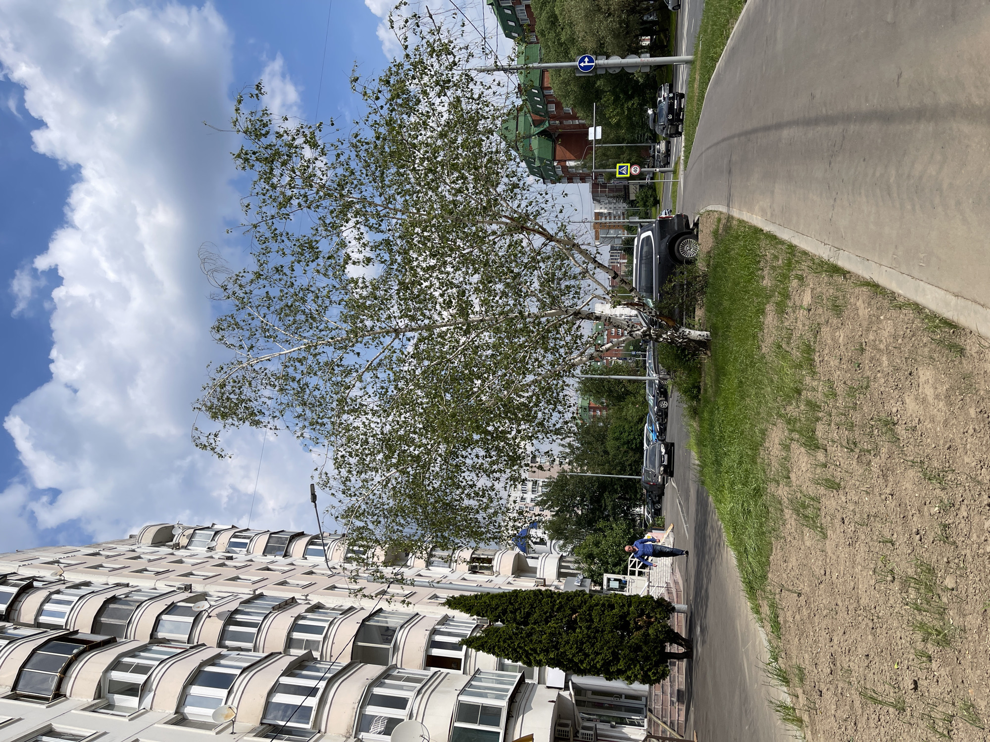 A person walks along a paved path next to a grassy area in an urban setting. To the left, a large, multi-story apartment building with a curved facade and numerous windows dominates the scene. The building's architecture features a repeating pattern of recessed balconies and arched windows. A tall, slender tree with white bark and sparse leaves stands in front of the building, partially obscuring it.
The paved path curves away from the viewer, leading towards a street where several cars are parked. Beyond the street, more buildings and trees are visible, some with green roofs. Traffic signs, including a pedestrian crossing sign and a speed limit sign (40), are present along the street. The sky is blue with fluffy white clouds, indicating fair weather. The overall impression is a sunny day in a residential area of Moscow, Russia, likely mid-day given the lighting. The person is dressed in a blue shirt and dark pants, and appears to be walking casually.