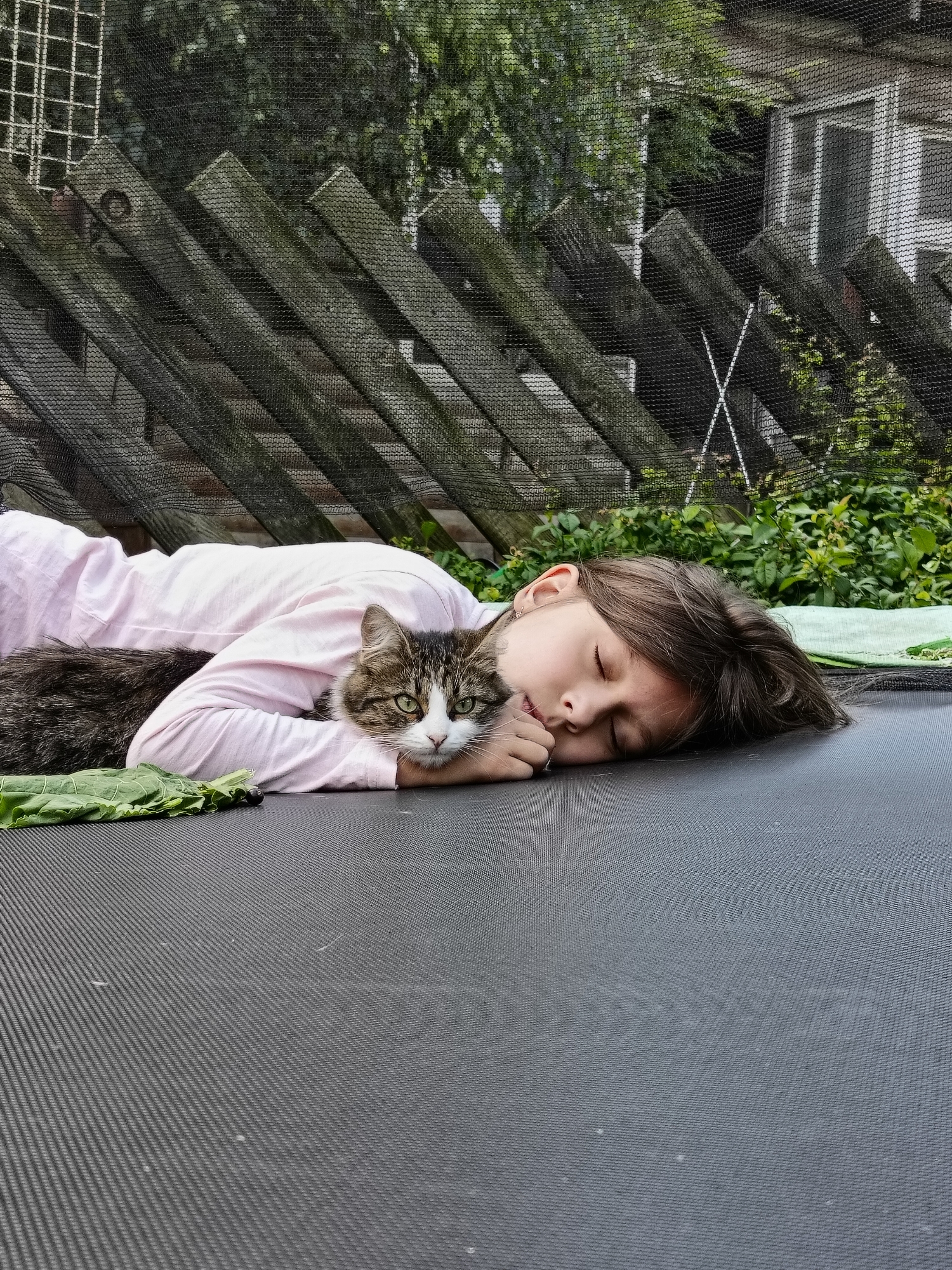 A young girl is lying on her side on a dark trampoline surface, asleep with her eyes closed. She is wearing a light pink long-sleeved shirt. Curled up next to her, also seemingly asleep, is a tabby and white cat. The cat's head is resting on the girl's arm, and its body is nestled against her side. In front of the girl and cat, on the trampoline surface, is a green leafy vegetable, possibly kale, and a few dark berries.
In the background, a weathered wooden fence runs horizontally, with a black mesh netting stretched over it. Beyond the fence, lush green foliage and trees are visible. To the right, a portion of a building with white window frames can be seen peeking through the greenery. The overall scene suggests an outdoor setting, likely a backyard, with the soft light indicating it is daytime. The specific location of Lagovskoe, Russia, is not visually identifiable from the image itself.