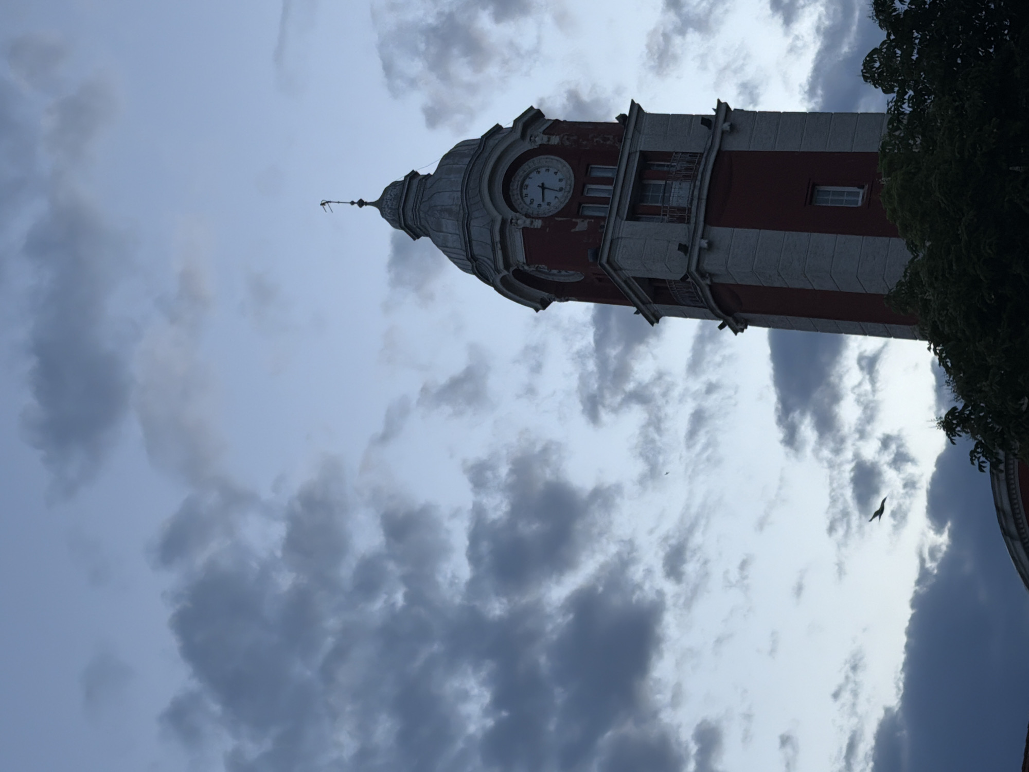 The image shows the Varna Clock Tower in Varna, Bulgaria, viewed from a low angle, pointing upwards towards a cloudy sky. The tower is painted with alternating red and white stripes, topped with a dome-like structure that includes a functioning clock. The clock face displays a time around 12:15. Part of a tree is visible on the right side of the image, obscuring a portion of the building. A bird is flying nearby. The cloudy sky suggests overcast conditions.