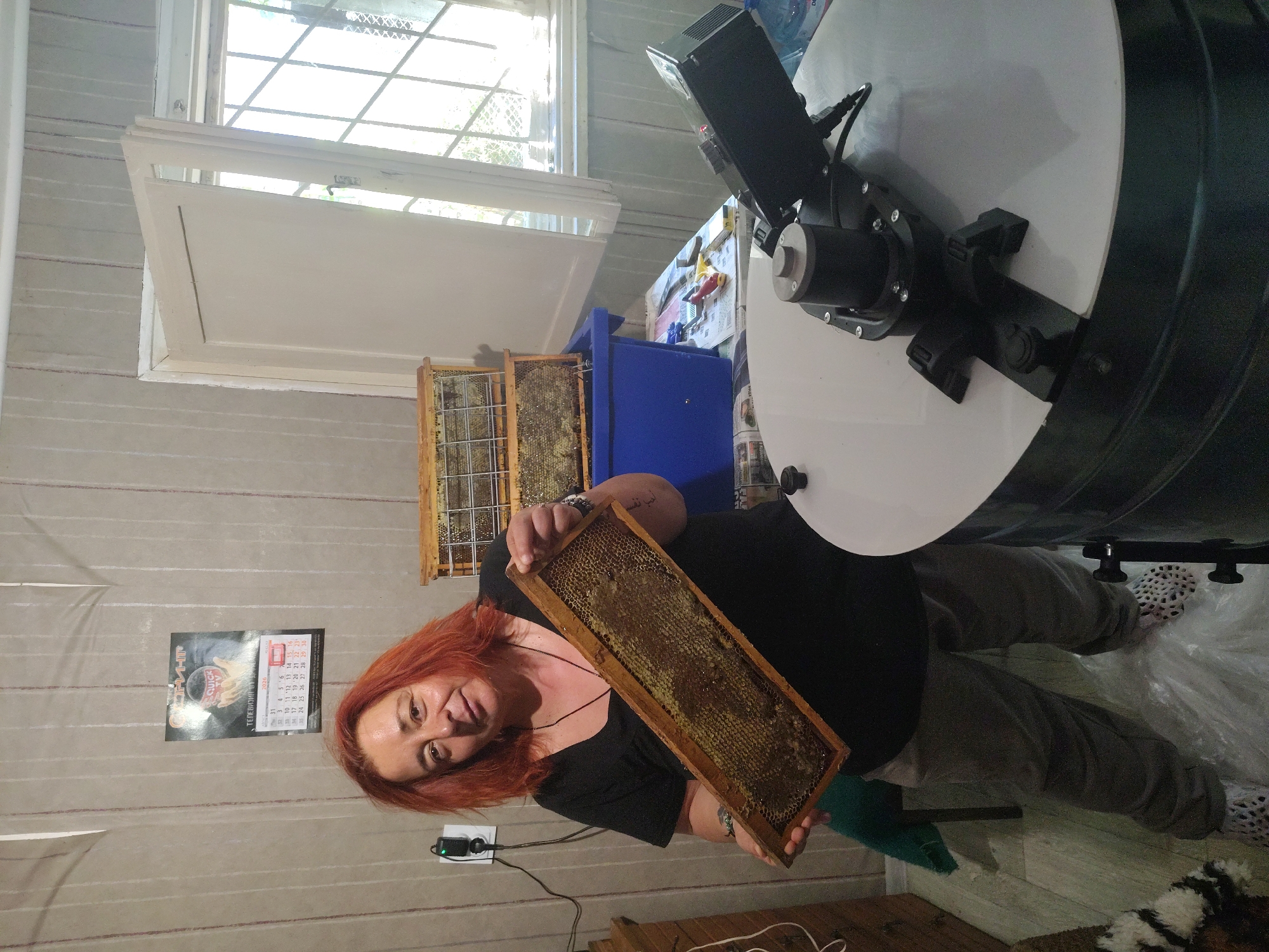A Caucasian woman with short, reddish-orange hair and a black t-shirt stands in what appears to be a room in Kartozhabene, Bulgaria. She is holding a wooden frame filled with honeycomb. Behind her, a blue plastic bin contains two more stacked frames of honeycomb. To her left, a calendar is hanging on a wall covered with striped wallpaper. In the foreground, a large, white, cylindrical object, likely a honey extractor, is positioned. A black mechanical arm with a motor is attached to its lid, and a window with bars is visible in the background.