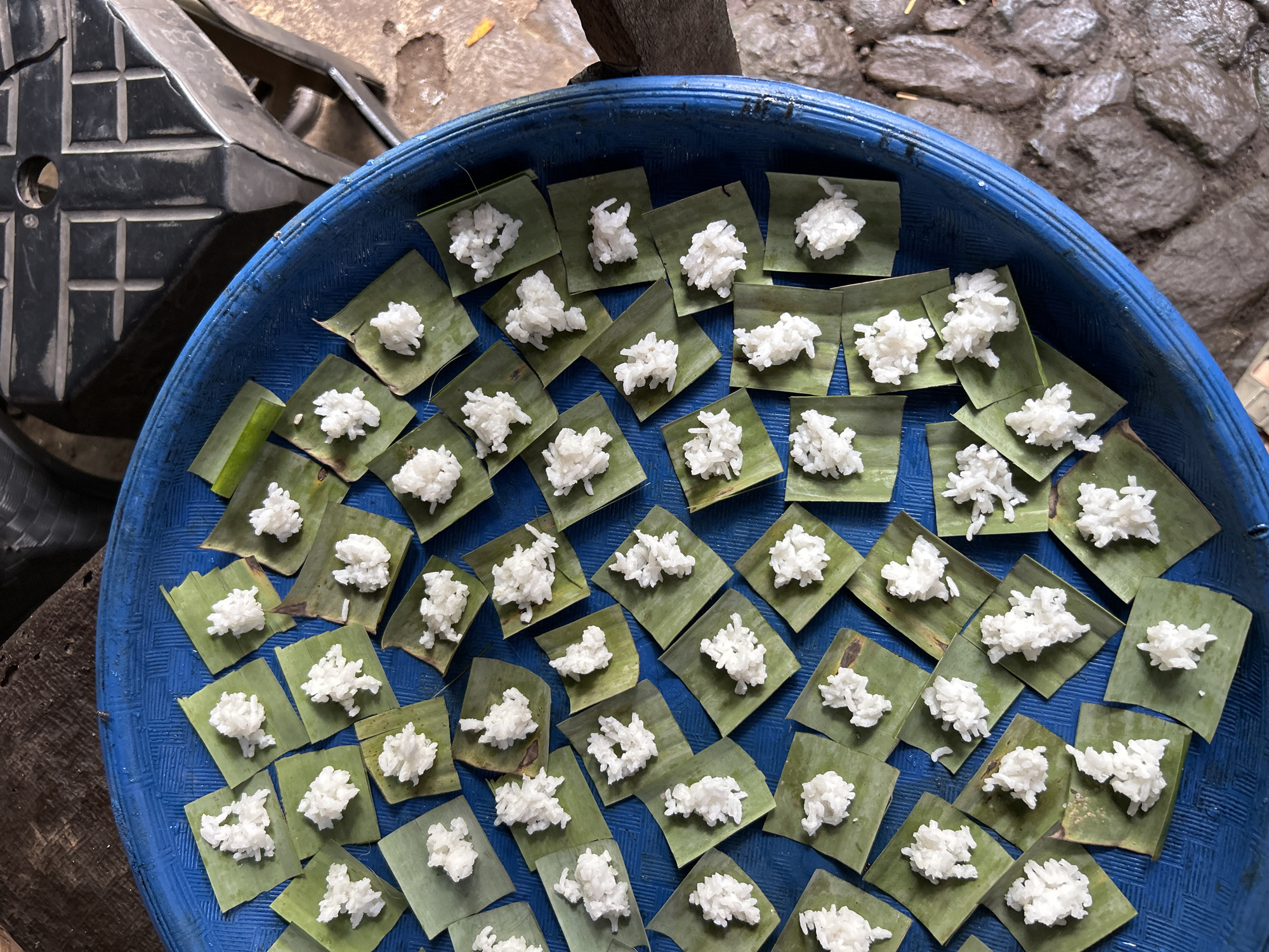 In the city of Manggis, Indonesia, a blue plastic tray is filled with small squares of green banana leaves, each topped with a portion of white rice. The tray is placed on a rough, outdoor surface, possibly ground or cobblestones, with some wooden elements visible at the edges of the frame. In the background, a black, textured object with grid-like markings appears to be a piece of furniture or equipment. The rice is arranged in small mounds, suggesting it is prepared for distribution or a ritual. The scene is captured from a high angle, looking down into the tray.