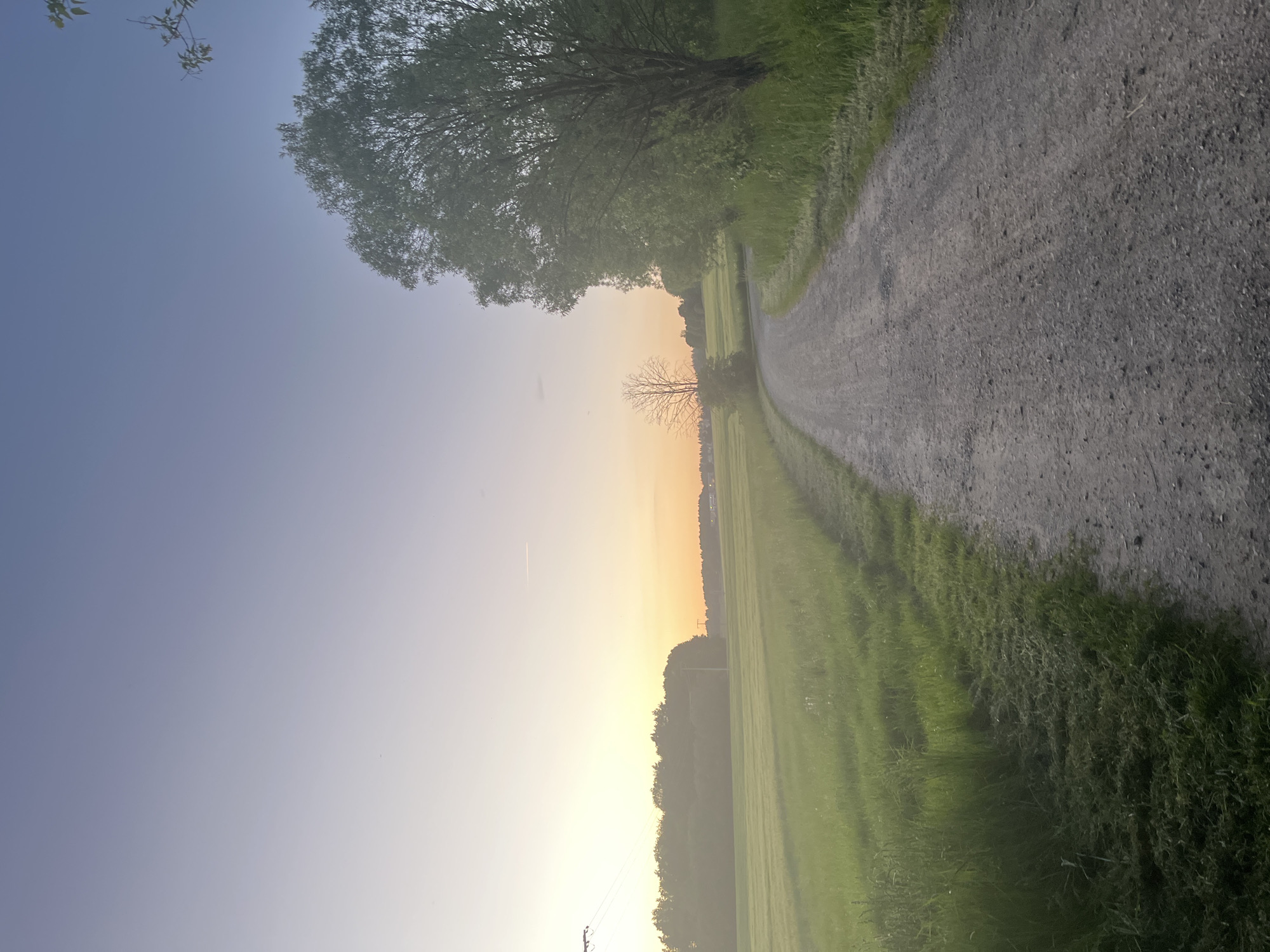 The image depicts a rural scene at dawn or dusk. A gravel road runs through the center of the frame, flanked by grassy fields on either side. A line of trees is visible in the distance, silhouetted against a yellow and orange sky, indicating either sunrise or sunset. The sky transitions from a light blue at the top of the frame to the warm tones of the horizon. The environment is serene and quiet, with no indication of human presence or activity. The location is Unknown, Unknown.