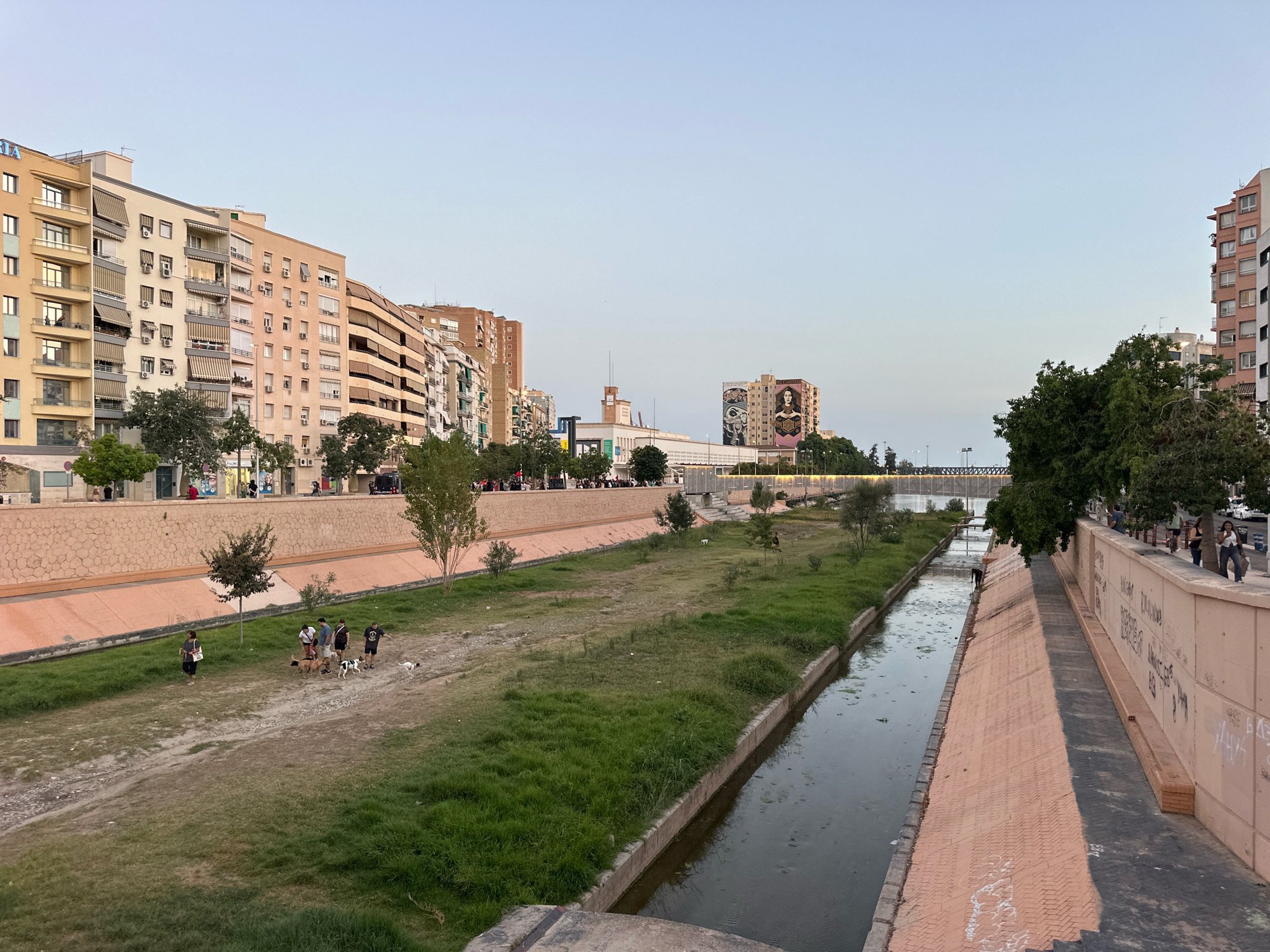 The image depicts an urban riverbed in Málaga, Spain, with a paved embankment on the right and a grassy area on the left. Several people are visible walking dogs in the grassy area. Buildings line the embankment on both sides of the river. The sky is clear and light, suggesting it is either early morning or late afternoon. On the far side of the river, a large mural is painted on the side of a building.