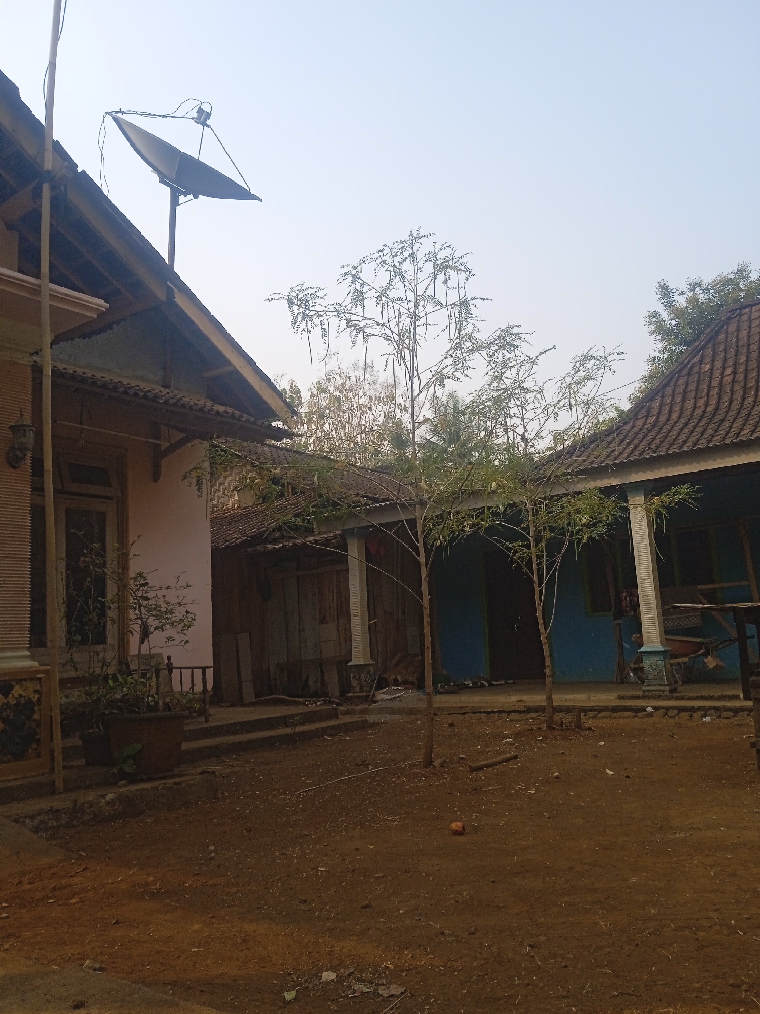 The image depicts a residential compound in Jatisrono, Indonesia. In the foreground, a dirt yard is visible, with scattered debris and a small, round orange object on the ground. Two young, bare trees with sparse foliage stand in the center. Behind them, a section of a blue house with a tiled roof is visible, featuring a porch with a white pillar and a wooden bench. To the left, a pinkish house with a brown tiled roof has a satellite dish mounted on its angled roof. Several smaller structures with corrugated metal roofs are situated between the two main houses. A potted plant sits near the pinkish house. The environment appears to be a rural or semi-rural setting, characterized by simple architecture and natural elements. The sky is clear and a pale blue, suggesting it is daytime.