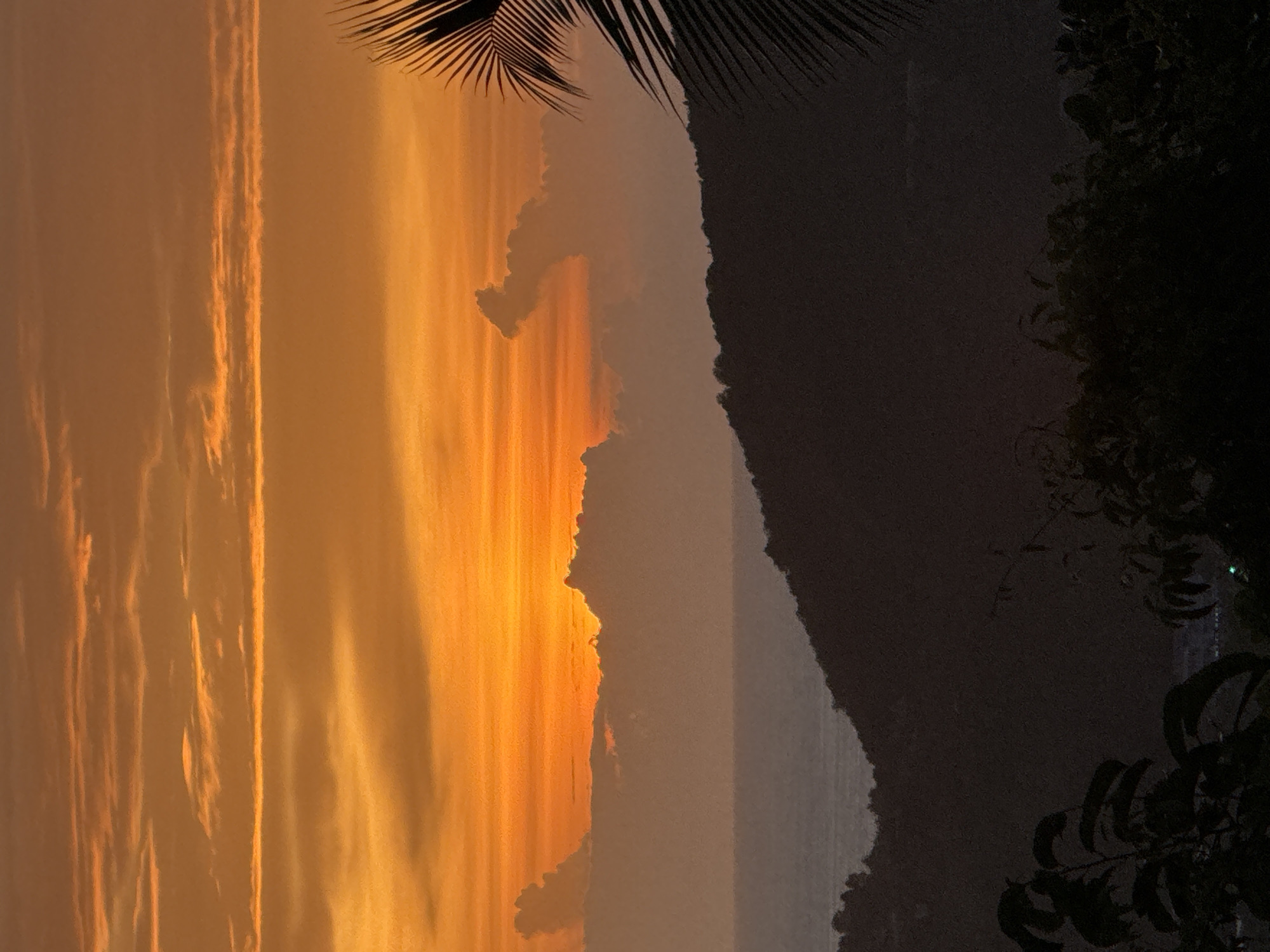 The image captures a sunset over a tropical landscape. The sky is dominated by vibrant orange and yellow hues, with layered clouds contributing to the dramatic effect. A silhouette of a palm frond is visible in the upper right corner. In the middle ground, a dark, silhouetted mountain range separates the sky from the foreground. The ocean is visible as a muted gray band between the sky and the mountains. The foreground is also silhouetted, featuring dark foliage, suggesting lush vegetation. The scene is likely a coastal area in Ban Tai Subdistrict, Thailand, given the characteristic tropical scenery and the presence of mountains and ocean. There are no people, objects, or actions depicted in the image.