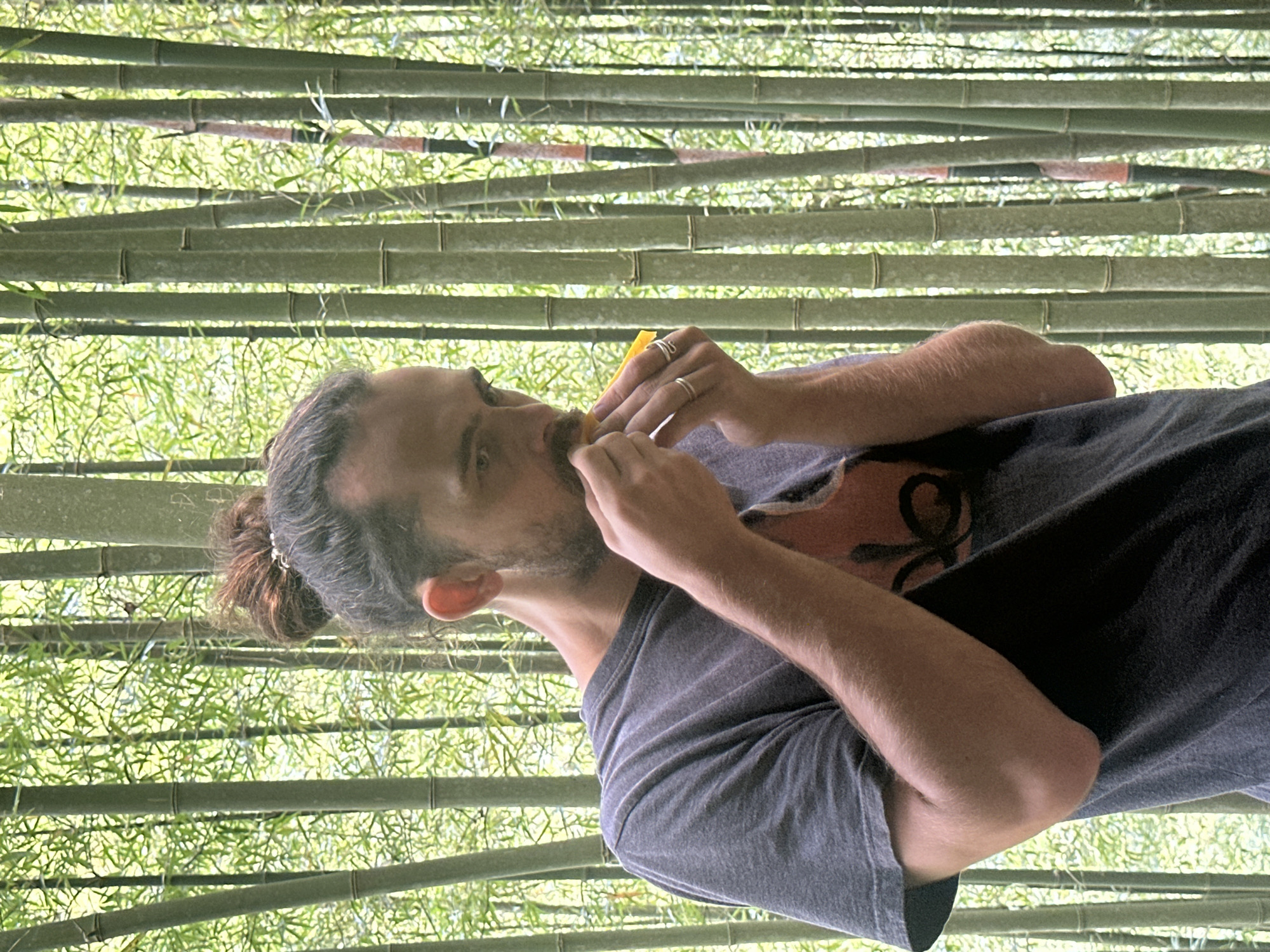A man with a beard and hair in a bun is holding a yellow object to his mouth. He is wearing a gray t-shirt and has rings on his fingers. The background is a dense bamboo forest. The location is Ngã Ba Kim, Vietnam.