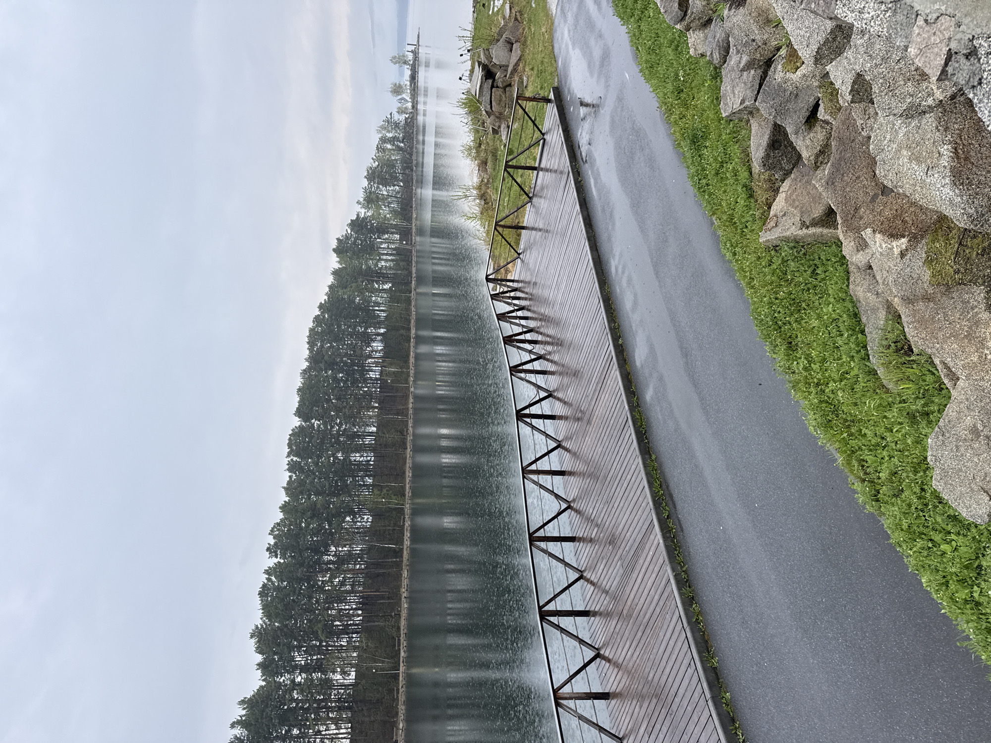 The photograph depicts a landscape featuring a lake lined by tall pine trees under an overcast sky. The trees are reflected in the still water of the lake. A wooden boardwalk with a metal railing runs along the water's edge. Adjacent to the boardwalk is an asphalt path bordered by grass and large rocks. The scene is possibly located in or near the town of Turgoyak, Russia, based on the prompt. No people or animals are visible. The weather appears to be damp, as the path and boardwalk are wet.