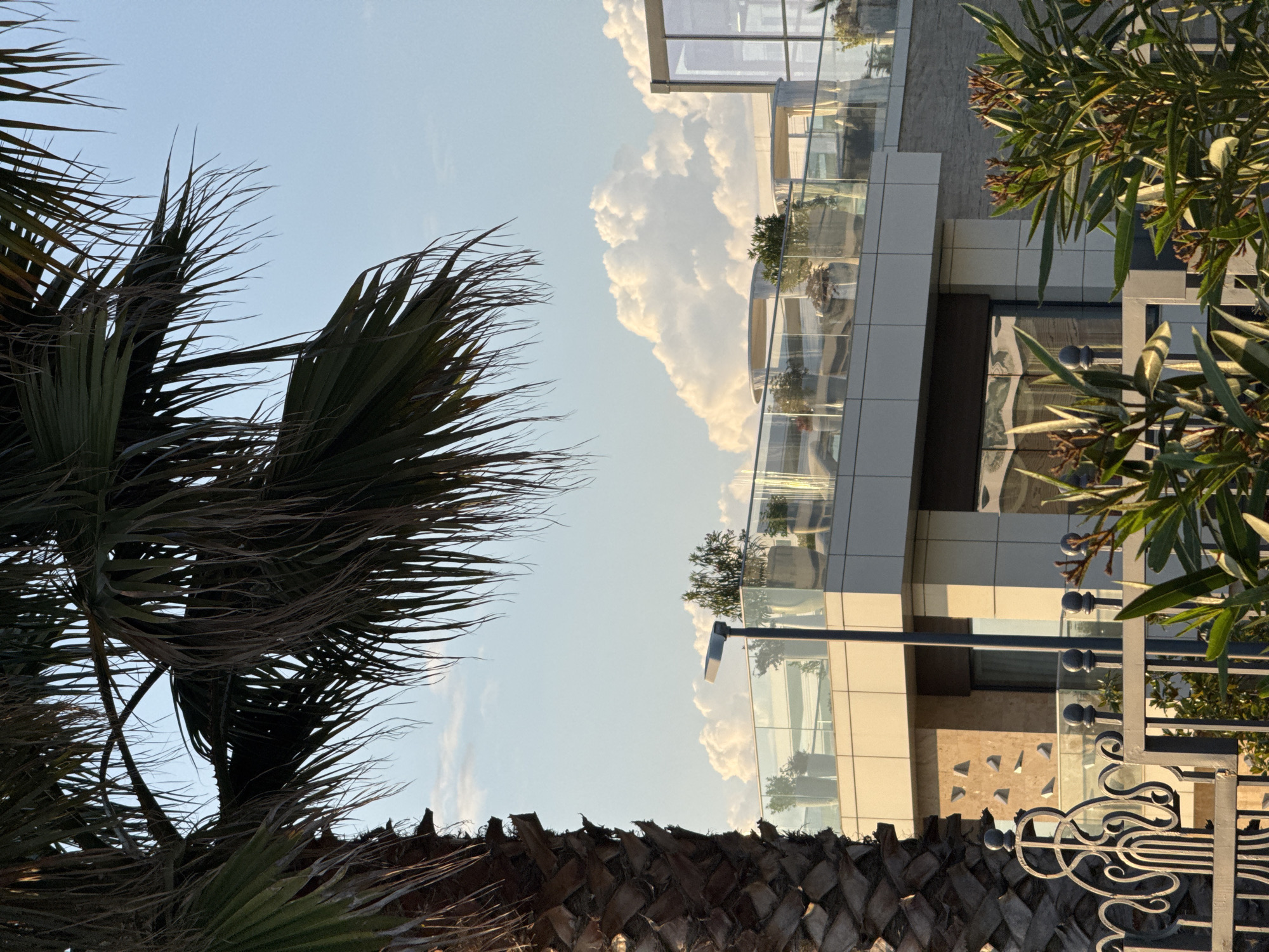 A vertical, eye-level outdoor shot captures the upper floors of a modern building with a rooftop terrace, partially obscured by the fronds of a large palm tree on the left. The building features clean lines, white siding, and large glass windows. The rooftop terrace is outfitted with glass railings, several potted plants, and outdoor seating, suggesting a commercial or residential space. A modern street lamp stands on the terrace. The background consists of a clear blue sky with scattered, fluffy white clouds. The lighting suggests it is late afternoon or early evening, with the sun casting a warm glow on the building. The foreground includes a decorative metal fence and lush green foliage. The architectural style and setting are consistent with contemporary developments found in resort or coastal areas. The image does not contain any people or discernible actions.