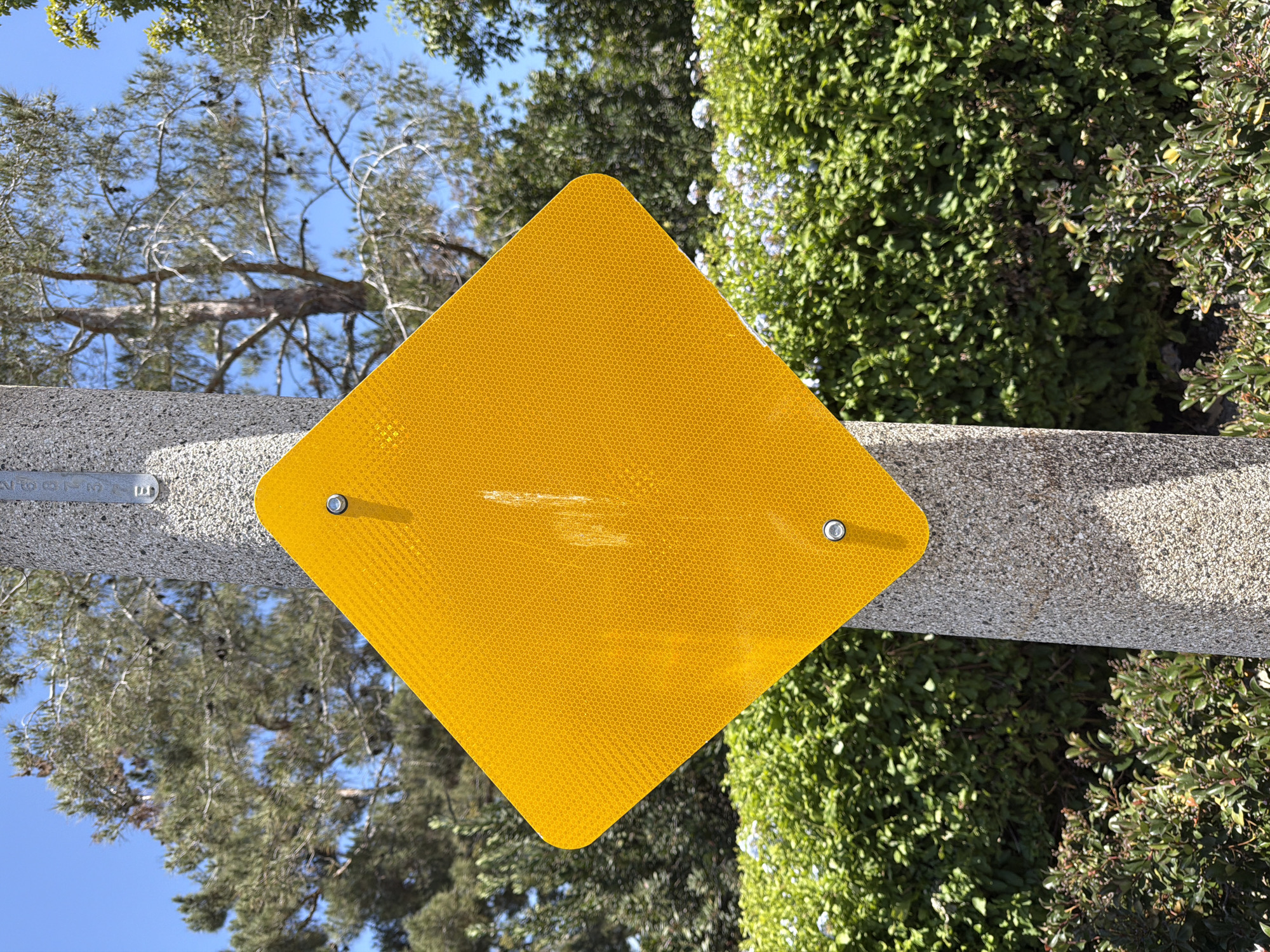 A bright yellow, diamond-shaped, reflective sign is mounted on a rough, speckled, grey concrete pole. The sign is tilted at an angle and has two silver bolts securing it to the pole. A faint, vertical white streak is visible on the sign's surface. Behind the pole and sign, a dense green hedge with small white flowers is prominent. Beyond the hedge, a tall pine tree with brown bark and green needles is visible against a clear blue sky. The overall scene suggests an outdoor environment, possibly a park or roadside in Aliso Viejo, California, United States of America.