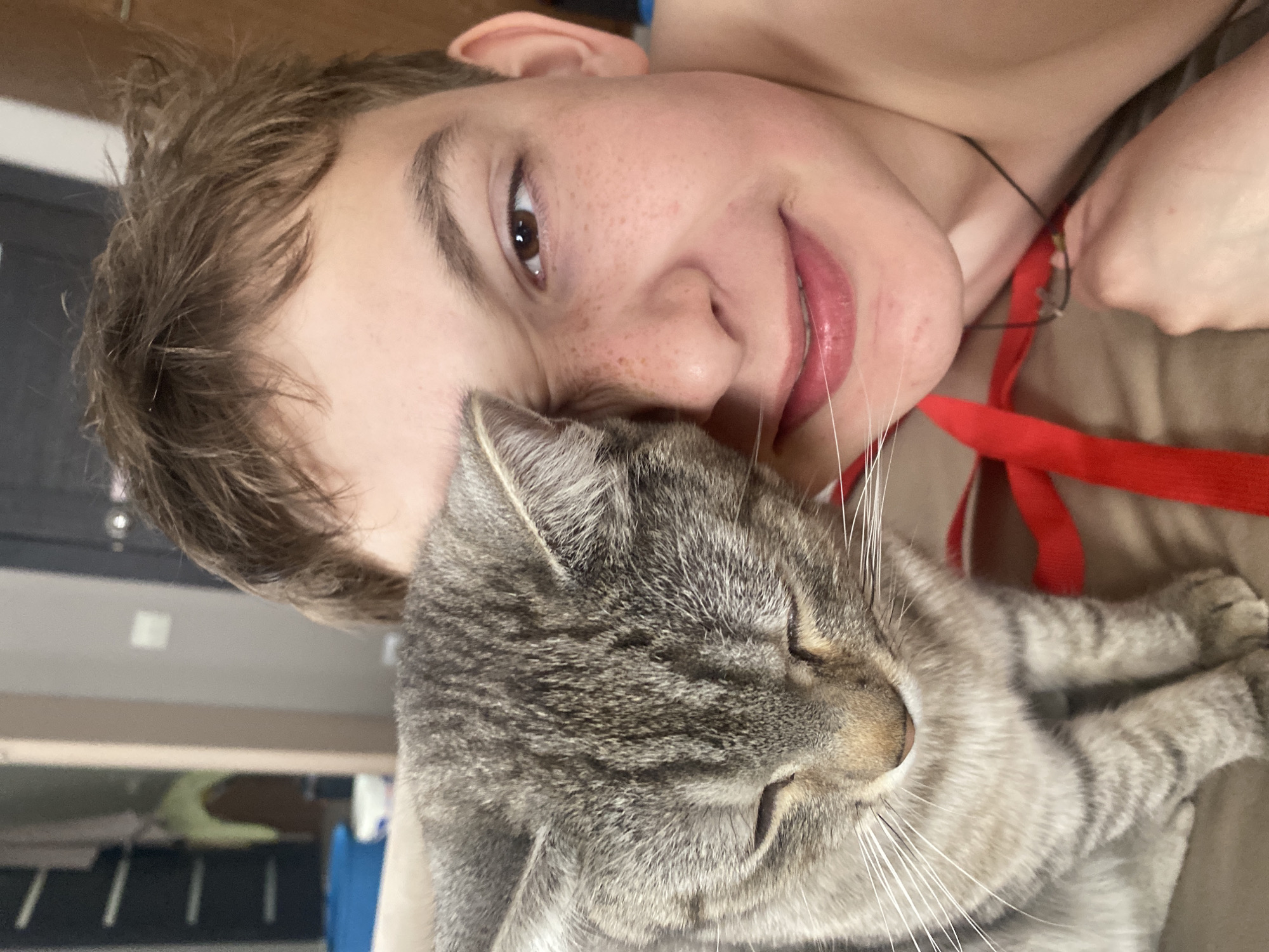 A young person with freckles is lying down with their face close to a gray tabby cat. The person is smiling slightly and has light brown hair. The cat has its eyes closed and is lying in a relaxed position. A red ribbon or strap is visible near the person's neck and shoulder area. The background is slightly out of focus, but appears to be indoors. Location cannot be confirmed using image.
