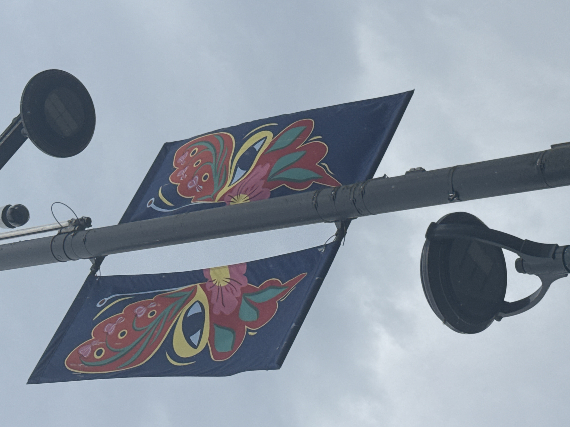 The image shows two navy blue banners hanging from a lamppost against a cloudy sky. Each banner features a colorful illustration of a butterfly's wing. The wings are primarily red with yellow and green accents, and a stylized blue eye is depicted within the design. The lamppost itself is dark gray and has two lamps attached, one higher up with a circular shade and another lower down with a domed shade. A security camera is visible near the top of the lamppost. This scene is located in the city of Surrey, Canada.