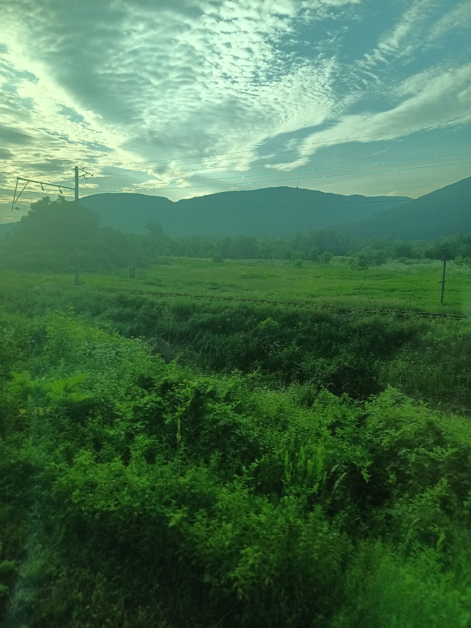 The image shows a scenic view of a lush green landscape with rolling hills in the background. The foreground is dominated by dense, vibrant green foliage, with some taller plants and bushes visible. A railway track runs horizontally through the middle ground, partially obscured by the vegetation. In the distance, the hills are covered in greenery and are softly silhouetted against a sky filled with dramatic clouds. The sky has a greenish-blue hue, with streaks of white clouds creating a textured pattern. There are also power lines visible in the upper left portion of the image, suggesting the presence of infrastructure. No people or animals are present in the frame. The overall impression is one of a peaceful, natural environment on the outskirts of Perechyn, Ukraine, likely captured during daylight hours.