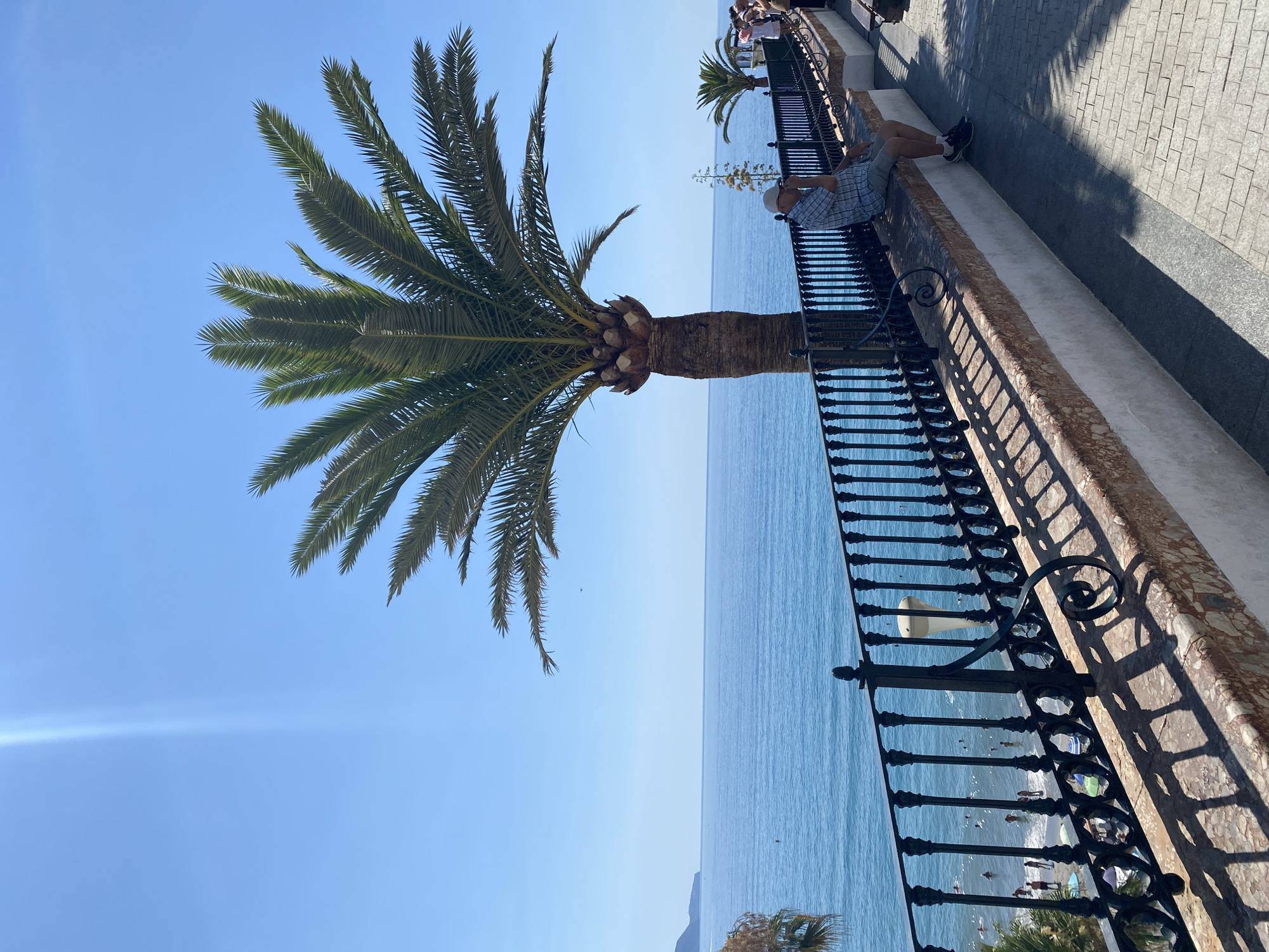 The image captures a sunny day in Nerja, Spain, likely along its coastline promenade. The focal point is a mature palm tree standing tall against a clear blue sky, its fronds casting dappled shadows on the paved walkway and a decorative stone wall. A man, wearing a checkered shirt, shorts, and a cap, is seated on the wall, looking down and appearing to be occupied with something in his hands. He is positioned in the foreground, to the right of the palm tree. Beyond the wall and a black ornate metal railing, the turquoise waters of the Mediterranean Sea stretch to the horizon, with a distant coastline visible to the left. On the beach below, several people are visible, some swimming or wading in the water, while others are relaxing on the sand, with colorful umbrellas providing shade. The overall scene conveys a tranquil beach resort atmosphere.