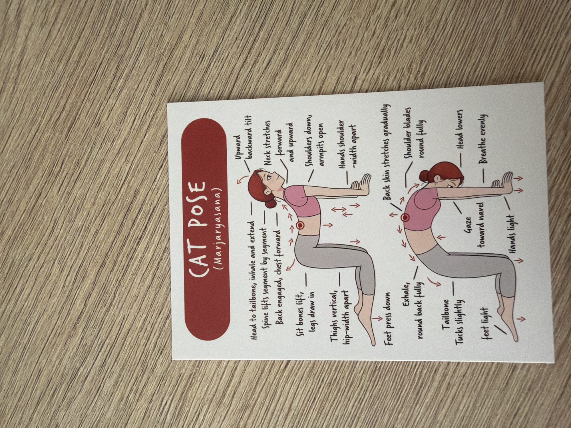 The image is a postcard featuring a diagram of the Cat Pose (Marjaryasana) yoga pose, presented on a wooden surface. The postcard has a red header with the text "CAT POSE" and "(Marjaryasana)" below it in white font. The diagram illustrates two variations of the pose: an arched back (cow pose) and a rounded back (cat pose).
In the upper diagram, a woman is depicted on her hands and knees. Arrows and text describe the movements: "Head to tailbone, inhale and extend," "Spine lifts segment by segment," "Back engaged, chest forward," "Sit bones lift, legs draw in," "Thighs vertical, hip-width apart," and "Feet press down." On the right side, it indicates "Upward backward tilt," "Neck stretches forward and upward," "Shoulders down, armpits open," and "Hands shoulder-width apart."
The lower diagram shows the rounded back variation. Text notes "Exhale, round back fully," "Tailbone tucks slightly," "feet light," "Gaze toward navel," and "Hands light." On the right, it details "Back skin stretches gradually," "Shoulder blades round fully," "Head lowers," and "Breathe evenly."
The wooden surface appears to be a table or desk with a distinct grain pattern. The lighting suggests it is indoors, likely natural light.
There is no information within the image or its context to suggest any relation to Pazardzhik, Bulgaria.