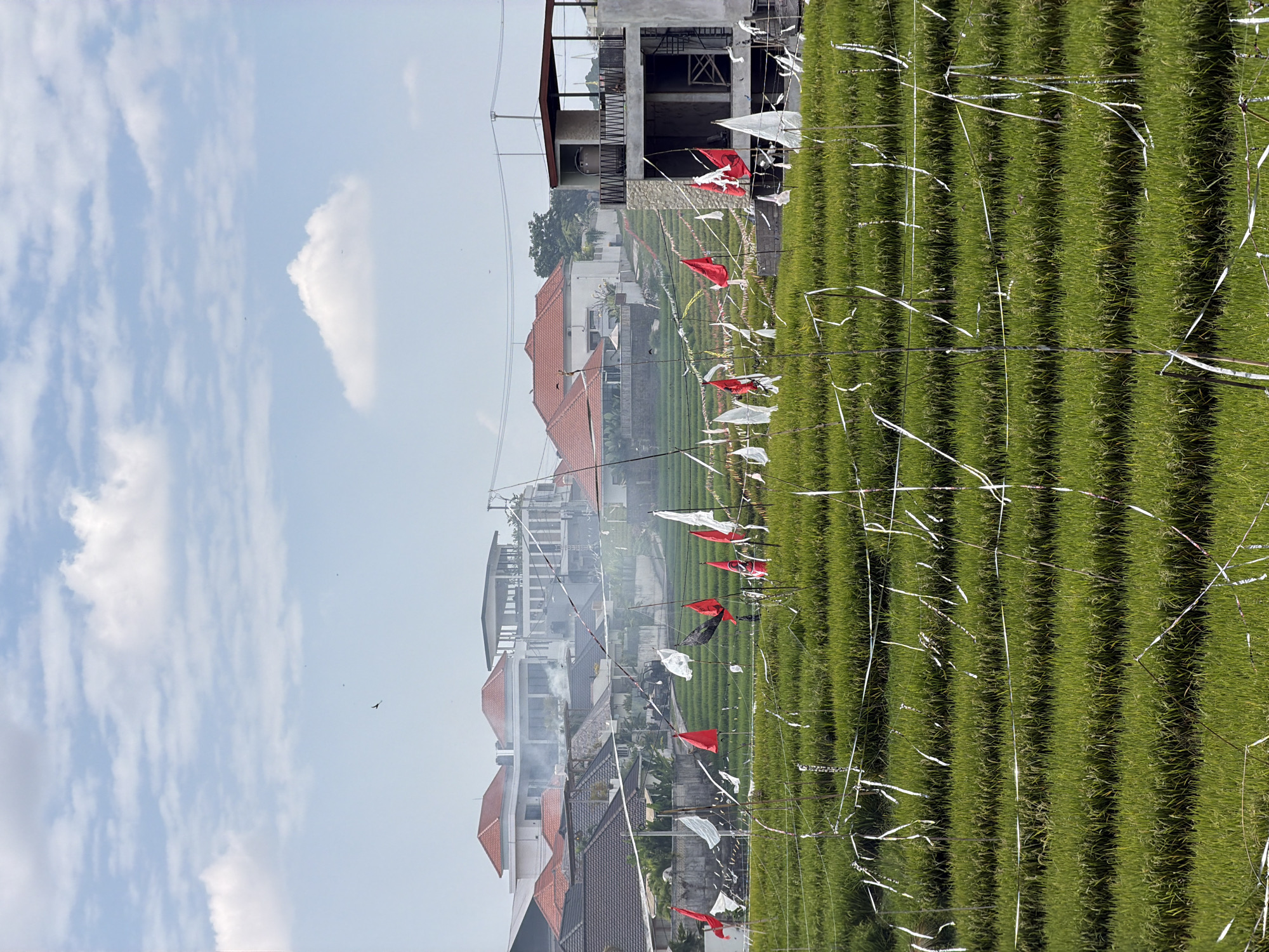 A wide shot captures a lush green rice paddy field in the foreground, divided into terraced levels by thin white ribbons and bamboo poles. In the middle ground, an assortment of red and white flags are planted throughout the field, some appearing tattered. Behind the field, several buildings with red-tiled roofs and modern architectural designs are visible, with some emitting light smoke. A partially constructed building with concrete and stone elements stands prominently on the right side. The background reveals a hazy, light blue sky dotted with scattered white clouds. The scene appears to be an outdoor setting, possibly in a rural or semi-urban area, with a focus on agricultural land and residential or commercial development.