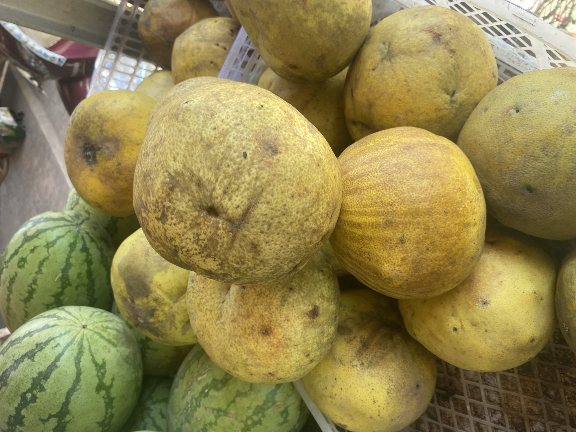 A close-up, overhead shot shows a pile of ripe pomelos with yellow skin, some showing brown blemishes. In the background, two watermelons with green stripes are visible, as well as portions of a white plastic basket. The scene appears to be a fruit stand or market, possibly in a warm climate like Ta', Indonesia.