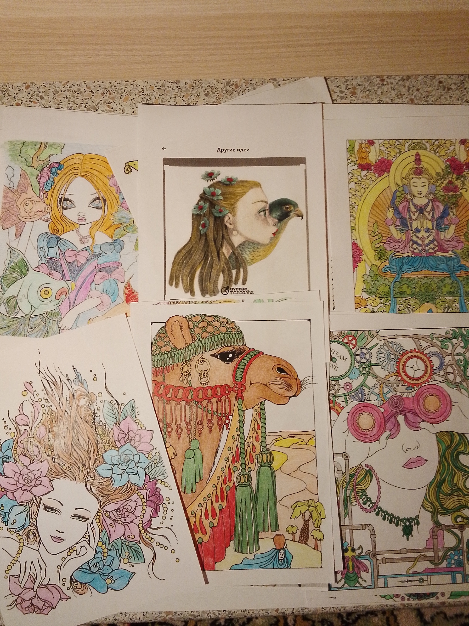 Several coloring pages are arranged on a surface. The images on the pages depict:
1. A woman with blonde hair, fish, and flowers.
2. A woman with long hair, decorated with flowers, and a bird perched on her head. The text above the image says "Другие идеи".
3. A sitting Buddha figure.
4. A woman with flowers in her hair.
5. A camel wearing decorated tack in a desert scene.
6. A woman wearing goggles surrounded by steampunk-style gears and pipes.
The location is not discernible based on the image. 1-Go Maya is not identifiable.