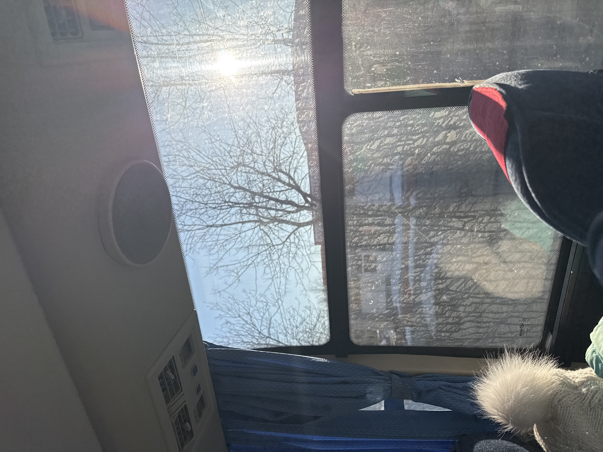 The image is taken from inside a vehicle, likely a bus or van, looking up through a multi-pane sunroof. The panes are separated by black supports. Bare tree branches are visible against a bright, sunny sky through the sunroof. One pane appears dirtier than the others. Inside the vehicle, a grey wall with a speaker is visible on the left. Blue curtains are partially drawn below the sunroof. The top of a grey knitted hat with a white pompom and another piece of clothing are visible. A blue and red hat is also visible. The image doesn't reveal the location in Berezniki, Russia.