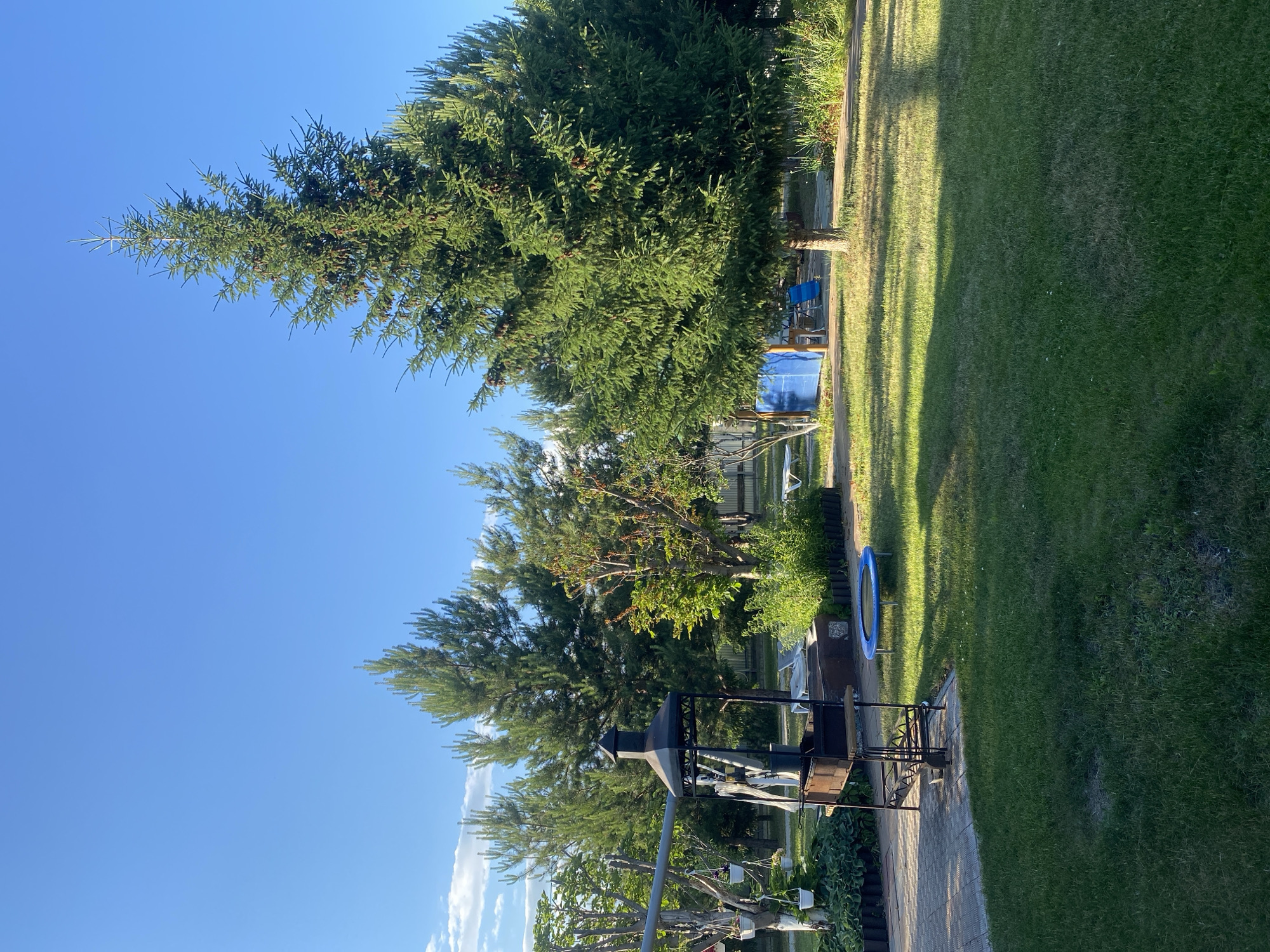 This is a vertical, medium-shot, outdoor photograph of a backyard scene in Volzhsk, Russia. The scene is dominated by a large evergreen tree in the right foreground, with its branches casting shadows on the well-maintained green lawn. To the left, a stone patio area features a black metal barbecue grill. In the middle ground, a small blue trampoline is visible on the grass, and further back, a blue tarp covers some objects. A variety of trees and bushes populate the background, with a wooden fence bordering the property. The sky is clear and blue, with a few wispy clouds in the distance. The lighting suggests it is a sunny afternoon. There are no people or animals visible in the image.