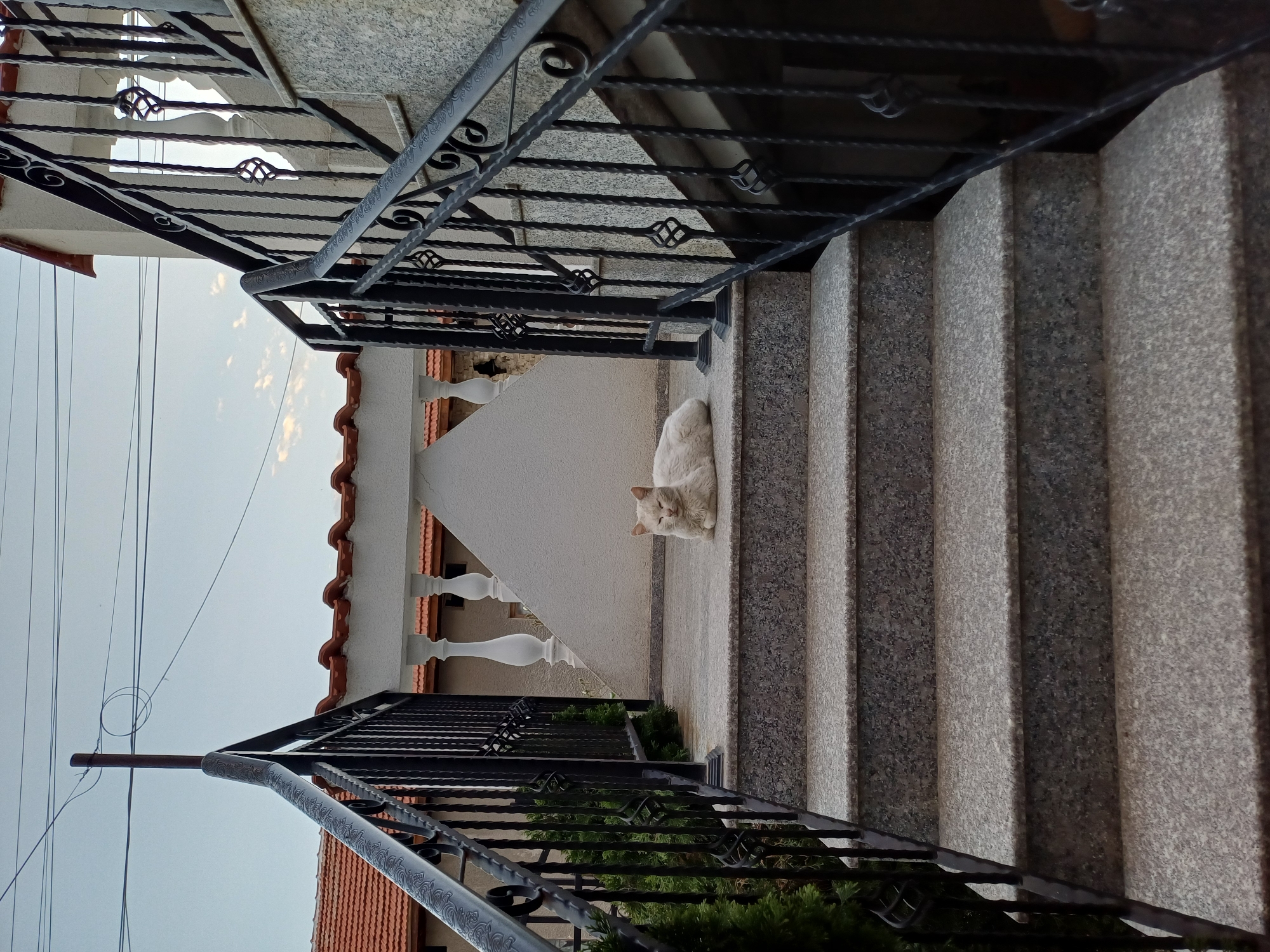 A cat is resting on granite steps flanked by black wrought iron railings. The steps lead to a building with a white wall and a red tile roof. The sky is overcast. The location is Unknown, Unknown.