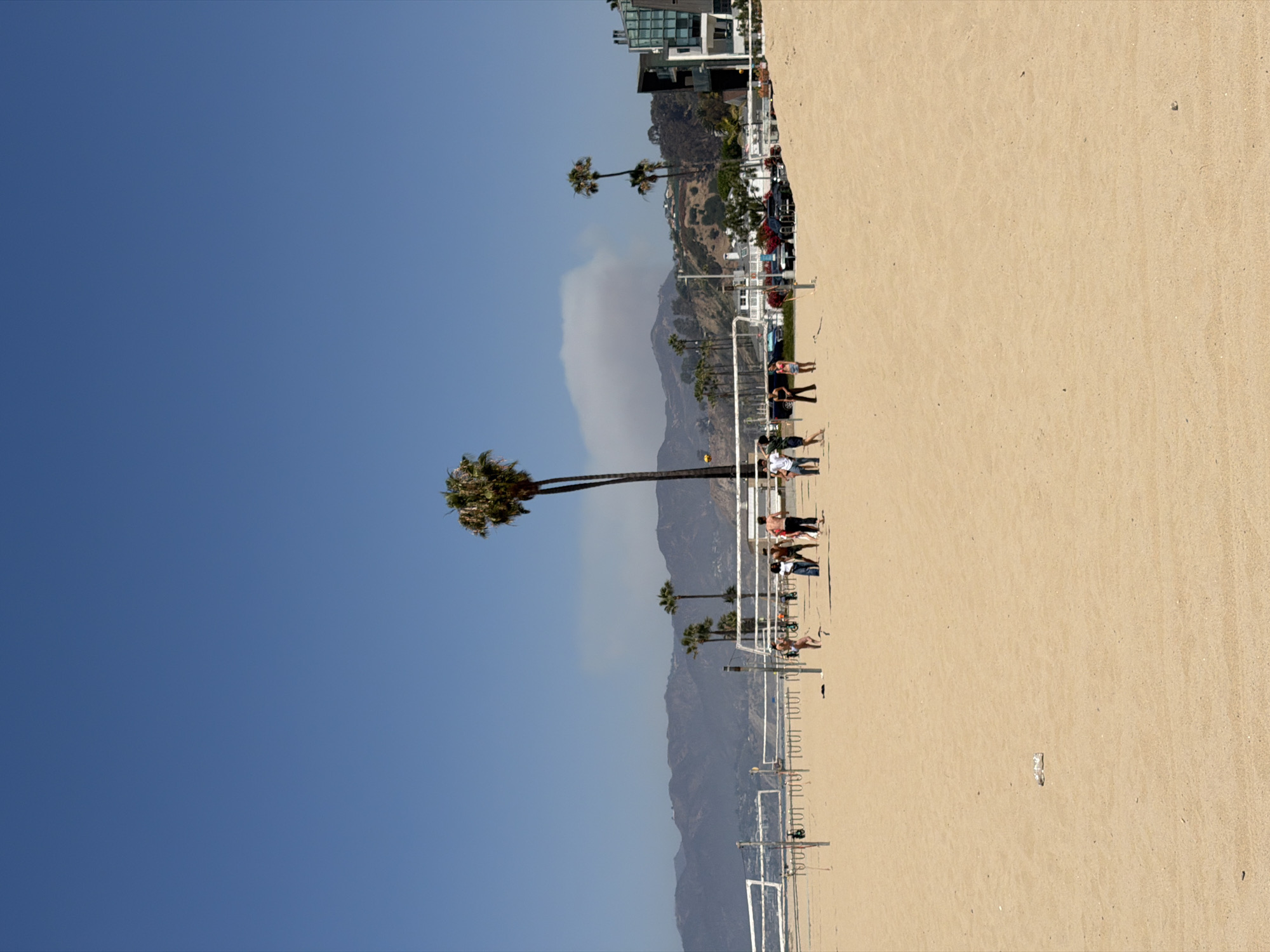 This photograph depicts a beach scene in Santa Monica, California, United States of America. The image is oriented vertically, with the sky occupying the left side of the frame. A clear blue sky dominates the upper portion. A tall palm tree extends from the lower left towards the center of the image. Mountains are visible in the background, with a light haze or smoke obscuring their peaks. The right side of the photograph features a sandy beach populated with volleyball nets and people. Several groups of individuals are participating in or observing volleyball games. Residential buildings and vehicles are visible near the edge of the beach, in the distance.