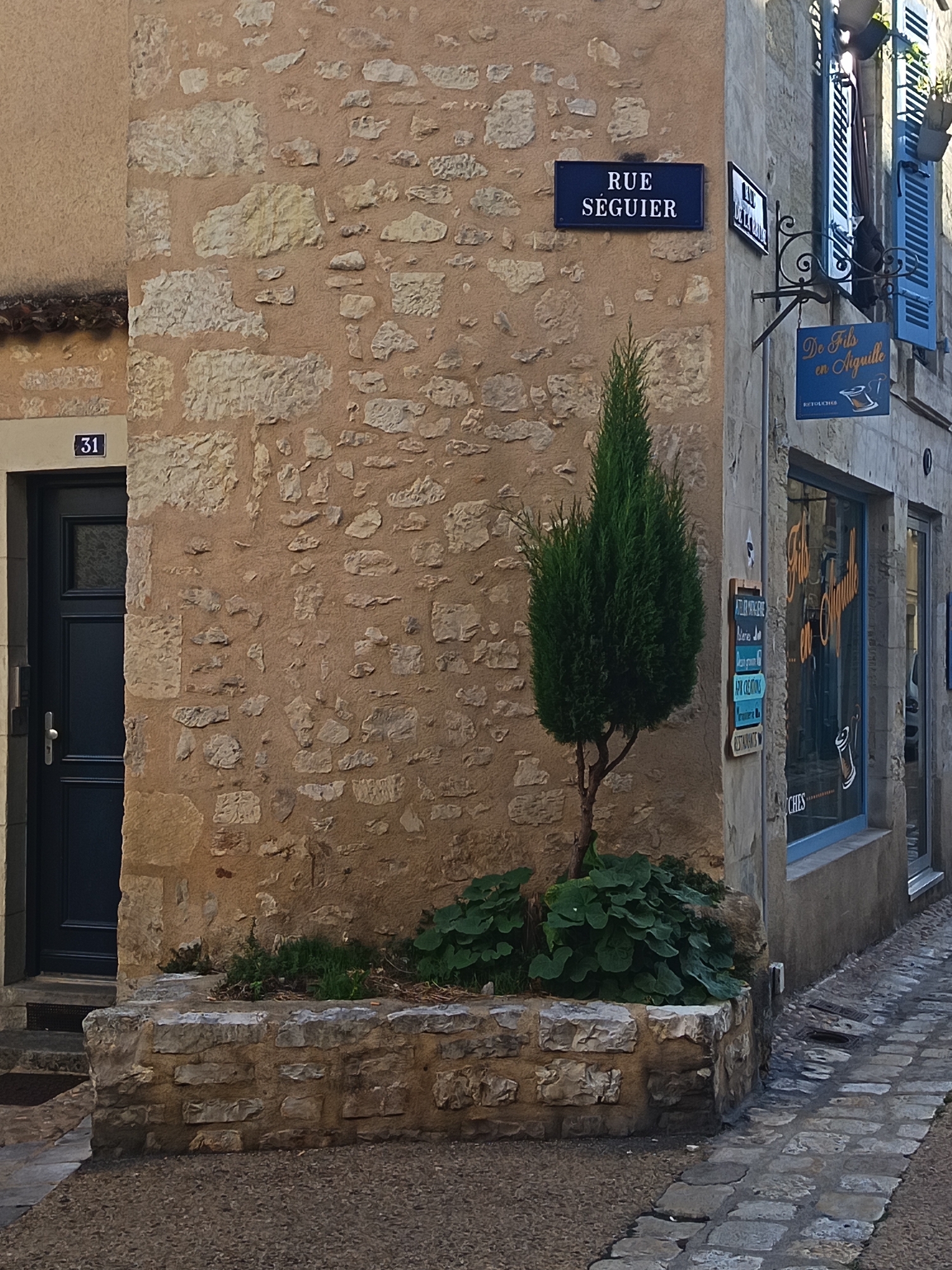 The image depicts a narrow cobblestone street in Périgueux, France, likely in the historic old town. The scene is dominated by the textured stone walls of buildings. On the left, a weathered stone wall features a dark blue door with a house number "31" above it. Adjacent to the door, a small, neatly trimmed evergreen tree stands in a stone planter box. A street sign on the stone wall reads "RUE SEGUIER". To the right, the corner of another building is visible, featuring a shop window with signage for "FILS en Aiguille" (Thread and Needle), a tailor or haberdashery. Blue shutters are open on an upper window of this building. The cobblestone street is slightly damp, suggesting recent rain or cleaning. The overall impression is one of a charming, old European street scene.