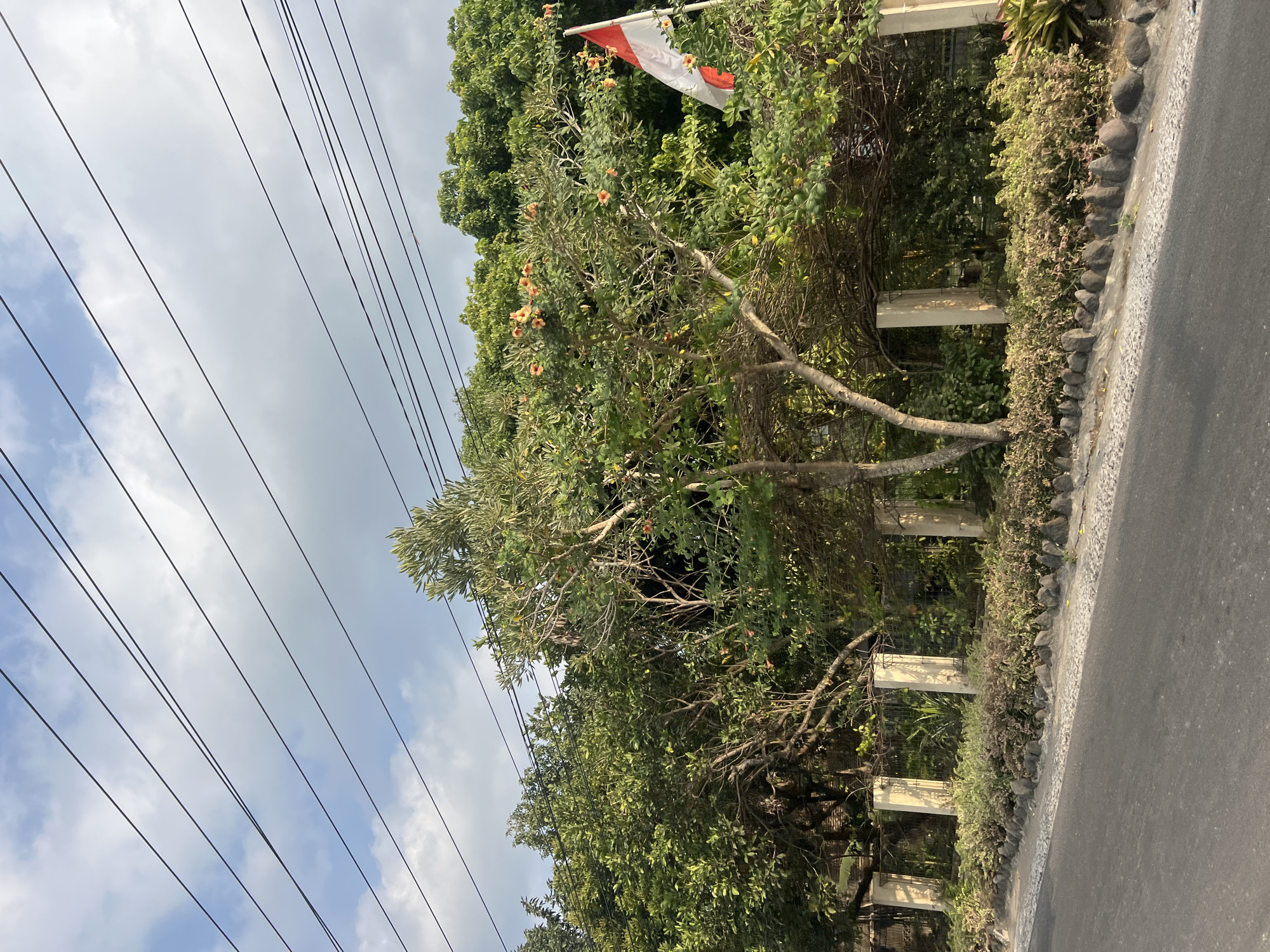 An eye-level outdoor shot captures a quiet street scene in Ngaglik, Indonesia, under a partly cloudy sky with visible power lines stretching across the frame. A paved road occupies the lower portion of the image. Along the roadside, a low border of dark stones separates the pavement from a garden bed planted with a variety of small shrubs and grasses. Beyond the garden, a fence with decorative stone pillars supports a wire mesh, behind which lush green trees and foliage create a dense backdrop. To the right of the frame, an Indonesian flag, featuring red and white horizontal bands, flies from a flagpole partially obscured by a tree with orange flowers. The overall scene suggests a residential or roadside area with significant vegetation and a clear sense of place due to the national flag.