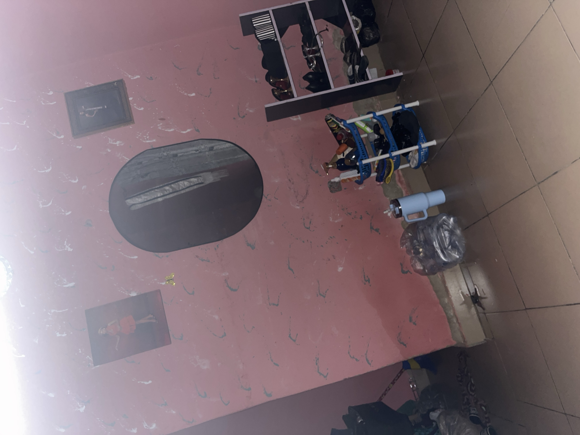 The image depicts an interior scene, possibly a room, with pink walls adorned with white and green abstract markings. On the left wall, a framed picture shows a woman in a red dress. Above it, a smaller rectangular frame contains an image of a person. A large oval mirror is mounted on the wall, reflecting the surrounding area.
In the foreground, a blue plastic three-tiered shelf unit holds various items, including bottles, cleaning supplies, and shoes. To the right of this unit, a dark, multi-shelf rack displays several pairs of shoes. In front of the rack, black plastic trash bags are visible.
The floor is tiled with square brown tiles. On the floor, near the center of the image, a dark-colored object, possibly a spider or an insect, is present. To the left of the spider, a clear plastic bag filled with items and a blue large insulated cup are on the floor. The overall environment appears to be somewhat cluttered. The location is identified as Jauro Yinu, Nigeria.