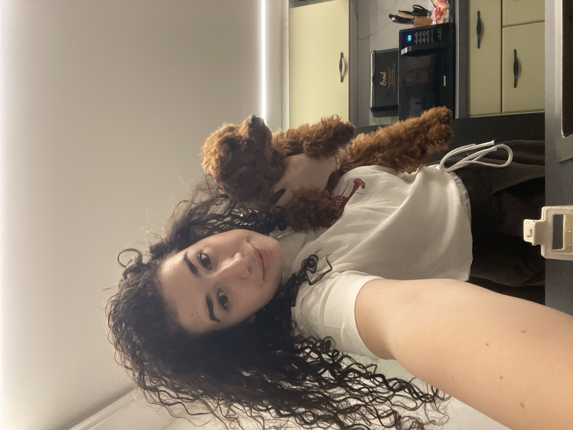 A young woman is depicted in a selfie, holding a small, fluffy, brown dog, likely a puppy of a poodle breed, close to her face. She has dark, curly hair and is wearing a white t-shirt, looking at the camera with a gentle smile. Her hand is visible, supporting the dog, which faces towards the camera, resting its back against her shoulder.
The background reveals an indoor setting, strongly suggesting a kitchen. Visible details include a black Samsung microwave oven with a digital clock displaying "02:00" or a similar time, positioned next to a black toaster with the word "Bread" visible on its side. Cream-colored kitchen cabinets with dark handles are also part of the background, along with a white charging cable coiled on a dark surface. A vertical strip of light illuminates a wall to the left. The overall lighting is soft and even, indicating an indoor light source. The scene captures a casual and affectionate moment within a home in Sofia, Bulgaria.