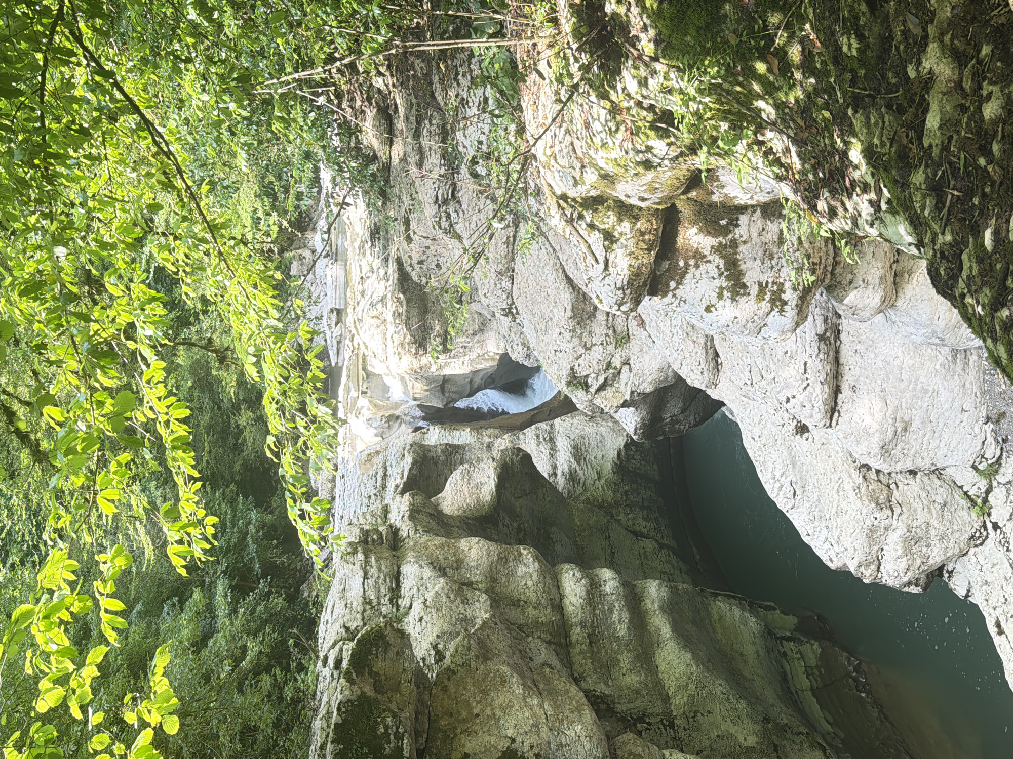 This media file captures a scenic view of a gorge with a river flowing through it. The steep, rocky walls of the gorge are covered in moss and vegetation, suggesting a natural, possibly forested, environment. Lush green foliage hangs over the gorge from above, some of it illuminated by sunlight, indicating it is daytime. The water in the gorge appears dark and calm, with some ripples visible. The texture of the rocks is rough and weathered, showcasing the erosive power of water over time. The overall impression is one of a serene and secluded natural landscape, likely in a temperate climate, given the abundance of greenery. The image, oriented vertically, emphasizes the depth and scale of the gorge. There is no visible text in the image.