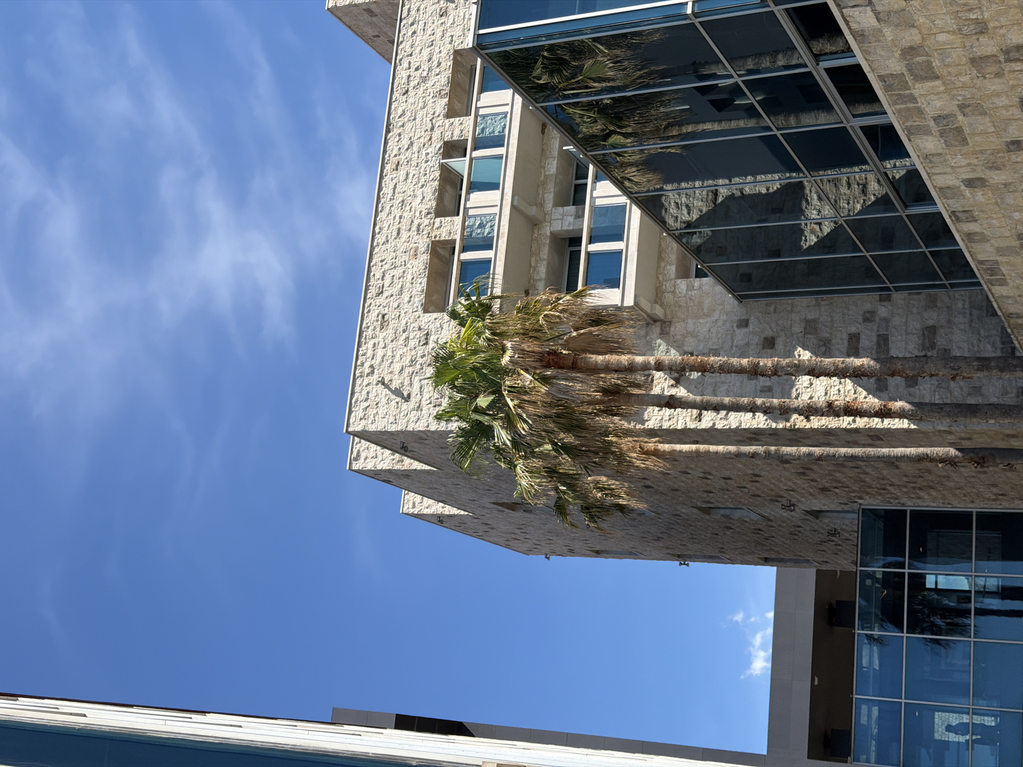A low-angle shot captures a modern building in Budva, Montenegro, featuring a stone facade and reflecting glass panels that mirror a nearby palm tree and the surrounding cityscape. The sky above is a clear blue with wispy clouds. The building's design includes recessed balconies and protruding glass sections, adding depth to the structure. A palm tree stands prominently against the stone facade, its fronds slightly obscured by the building's edge. Below, a fragment of another building's roofline is visible.