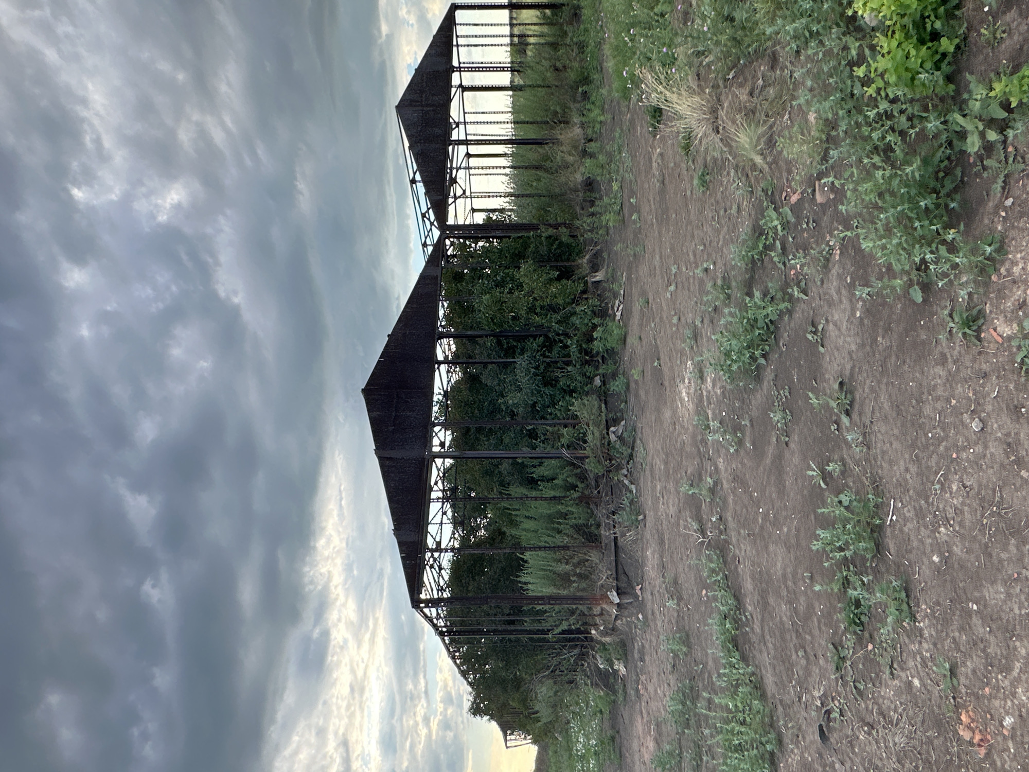 The image shows two dilapidated greenhouse structures in Баягиз, Kazakhstan. The structures are made of rusted metal frames, with the roofs partially intact and covered in dark material. Overgrown vegetation, primarily bushes and tall grasses, fills the interior of the greenhouses and surrounds them. The ground in front of the structures is dry, dusty earth with scattered small plants and some debris, including bricks. The sky above is overcast with dramatic, dark grey clouds, suggesting an approaching storm or the end of a day with unsettled weather. There are no people or animals visible in the image. The overall impression is one of abandonment and decay.