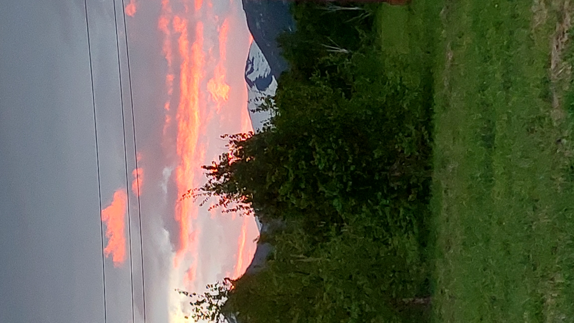 The image shows a landscape scene with a dramatic sunset. The sky is filled with vibrant orange and pink clouds, indicating it is either sunrise or sunset. In the foreground, there is a patch of lush green grass and a dense green bush or tree. In the background, a mountain range is visible, with some snow-capped peaks illuminated by the setting sun. Power lines run horizontally across the left side of the image, suggesting proximity to a populated area or infrastructure. The overall mood of the image is serene and awe-inspiring, due to the beautiful natural spectacle of the sunset over the mountains. There is no visible text in the image. The location is Lesnoi, Russia.