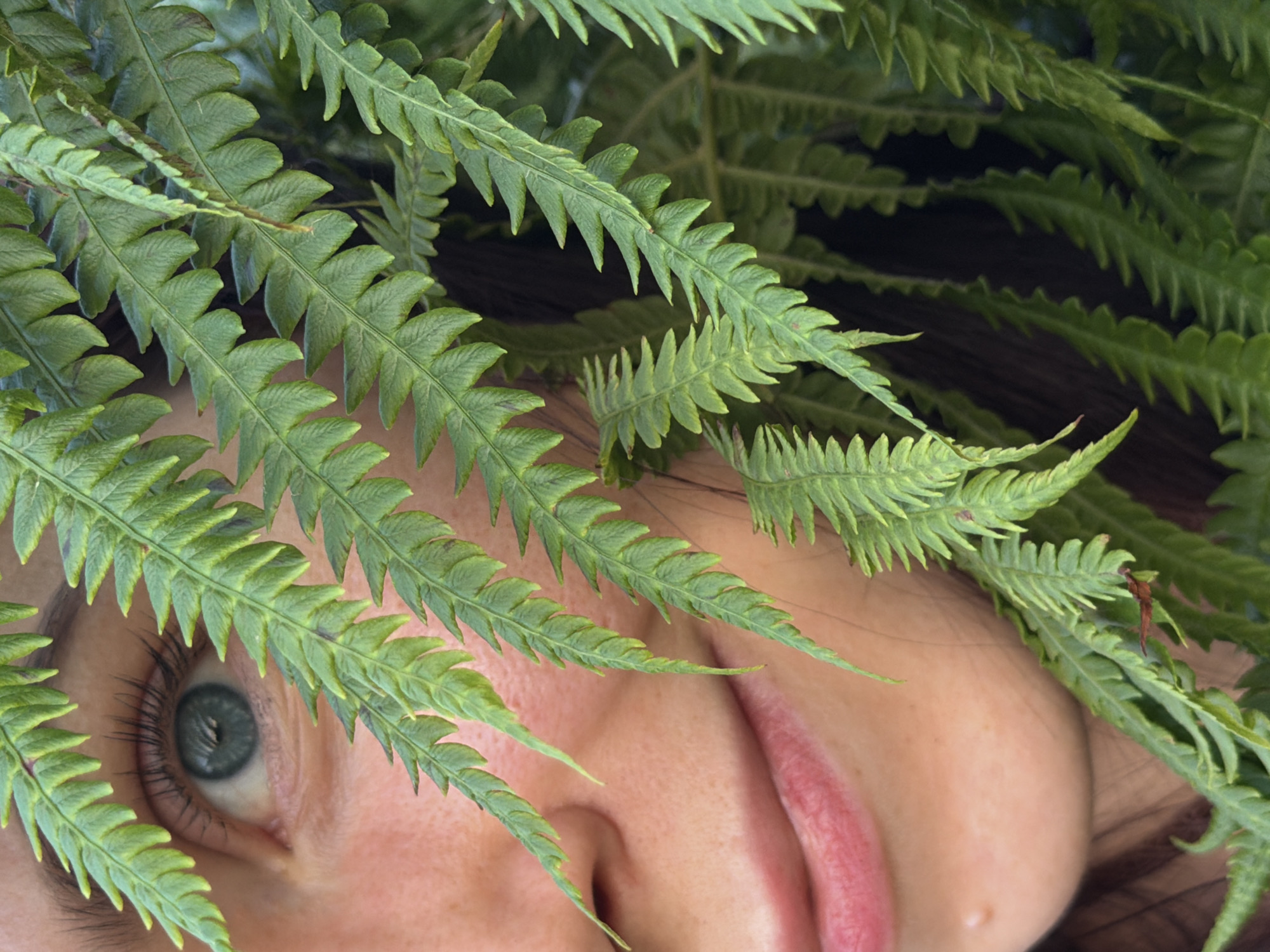 This is a close-up, medium shot of a person's face partially obscured by lush green fern fronds. The person's left eye, with lashes and a blue iris, is visible. The bridge of their nose and a portion of their mouth, with pink lips, are also visible. The skin has visible pores and a small mole on the chin area. The ferns are in sharp focus, creating a naturalistic frame around the visible parts of the face. The background is dark and out of focus, suggesting a natural setting or a dimly lit environment. There is no discernible indication of the city of Фоки, Russia within the image itself.