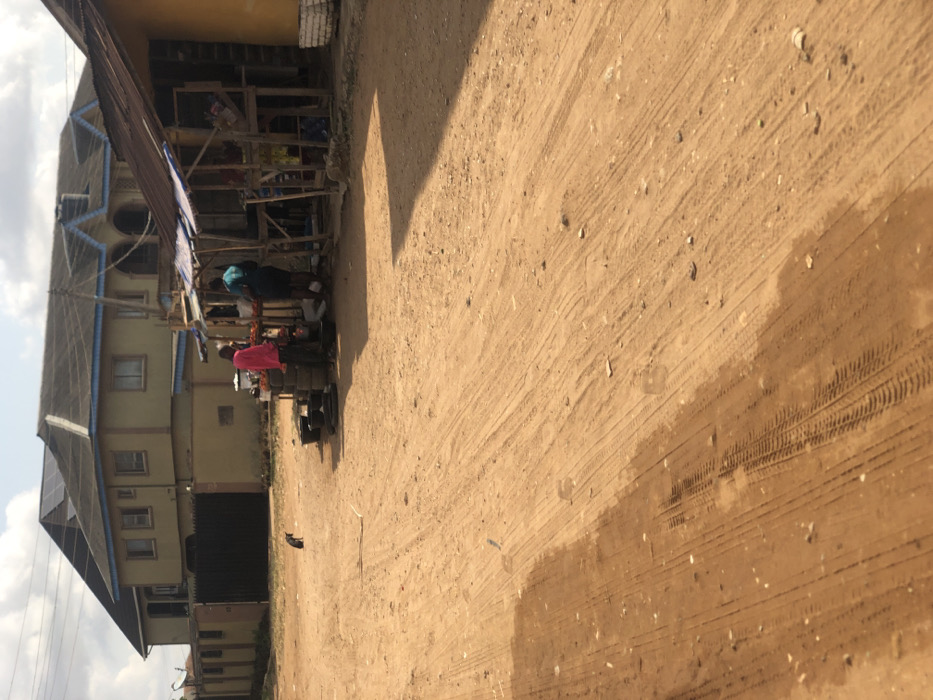 The scene depicts a reddish-brown dirt road under bright daylight in Egan, Nigeria. In the mid-ground, two individuals are positioned near makeshift market stalls. One person, wearing a pink long-sleeved shirt, stands facing right at a stall constructed with stacked black tires and a wooden surface displaying red produce, likely tomatoes. Several black bowls or buckets are on the ground directly in front of this stall. A second person, dressed in a dark teal shirt and dark trousers, stands slightly to the right and behind the first individual, also attending to the goods. To the left of the stalls, a small black cat is seated upright on the dirt road, facing towards the right.
The background features a two-story residential building with a light olive-green facade, a dark gray gabled roof adorned with blue trim, and visible solar panels. A dark metal gate forms part of the perimeter fence in front of this building. To the right, adjacent to the stalls, is a yellow-painted structure with a rustic wooden extension, topped with a corrugated metal roof covered by a blue tarp. The dirt road itself shows numerous tire tracks and minor irregularities, with a darker, possibly damp, patch of soil in the lower left foreground. Shadows cast across the road indicate a high sun angle.
