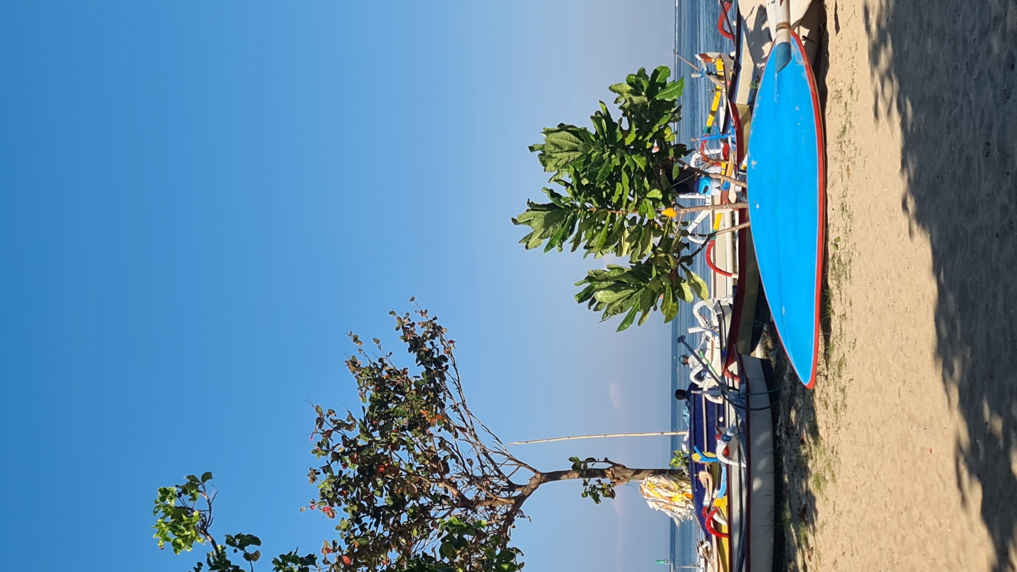The image captures a serene beach scene in Denpasar, Indonesia, under a clear blue sky. Several colorful, traditional outrigger boats are lined up on the sandy shore, some resting on their sides. A bright blue surfboard with red trim lies upside down in the foreground. Lush green trees with broad leaves stand on the beach, providing shade. In the background, the calm ocean stretches towards the horizon, with a few people visible near the boats. The overall atmosphere is one of tranquility and a typical day at a coastal Indonesian locale.