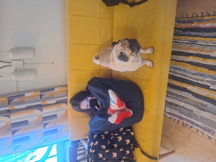 This image depicts an indoor scene in Lezhnevo, Russia. A young female is seated on a yellow tufted couch, positioned on the left side. She wears dark blue pants and red and white patterned socks, with her knees bent and feet drawn upwards. She is looking down at and operating a black smartphone held in her hands. To her right, a fawn-colored pug dog with a dark muzzle stands on the couch, oriented slightly towards the right and looking downwards. A black backpack adorned with a repeating cat face pattern is situated on the couch to the female's left. The background features a white wall with a white two-light wall sconce above the couch. A window on the left is partially covered by a light blue sheer curtain and a geometric patterned curtain in shades of yellow, grey, and white. The foreground displays a light wooden floor covered by a multi-colored striped rag rug.
