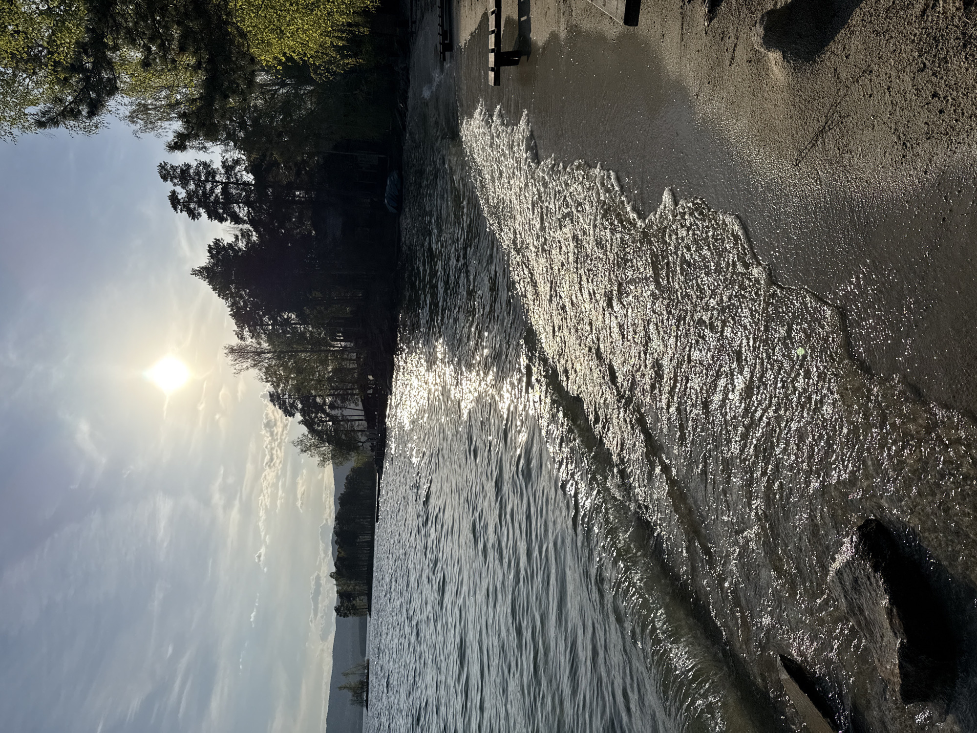 The image shows a view from the beach in Zolotoi Plyazh, Russia. The foreground consists of a sandy beach with gentle waves washing ashore. The water reflects sunlight, creating a shimmering effect. Along the edge of the beach, there are wooden benches. To the left, trees line the shoreline, partially obscuring distant hills. The sun is visible in the sky, contributing to the overall bright and sunny atmosphere.