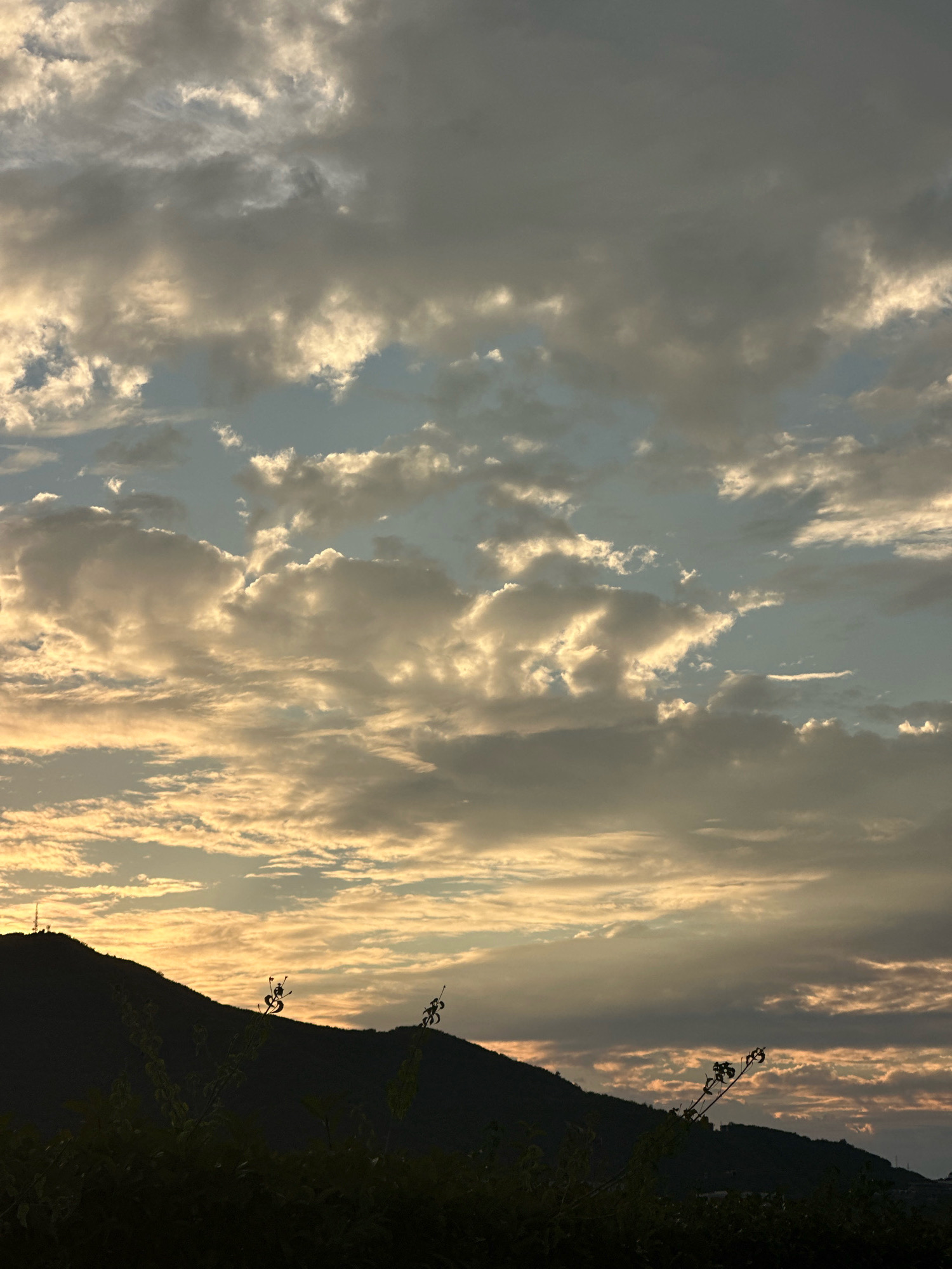 This is a photograph of a sunset over a hilly landscape, with the silhouette of a mountain range in the foreground. The sky is filled with dramatic clouds, illuminated by the setting sun, creating a gradient of colors from warm oranges and yellows to cool blues and grays. In the distance, on top of one of the hills, a telecommunications tower is visible. The lower part of the image is dominated by dark, silhouetted vegetation, including some flowering plants in the immediate foreground. There are no people or animals visible in the image. The scene appears to be a natural landscape, likely on the outskirts of a city or town. There is no specific indication of the location within Budva, Montenegro, but the general topography suggests it could be a viewpoint overlooking the town or the surrounding coastline.