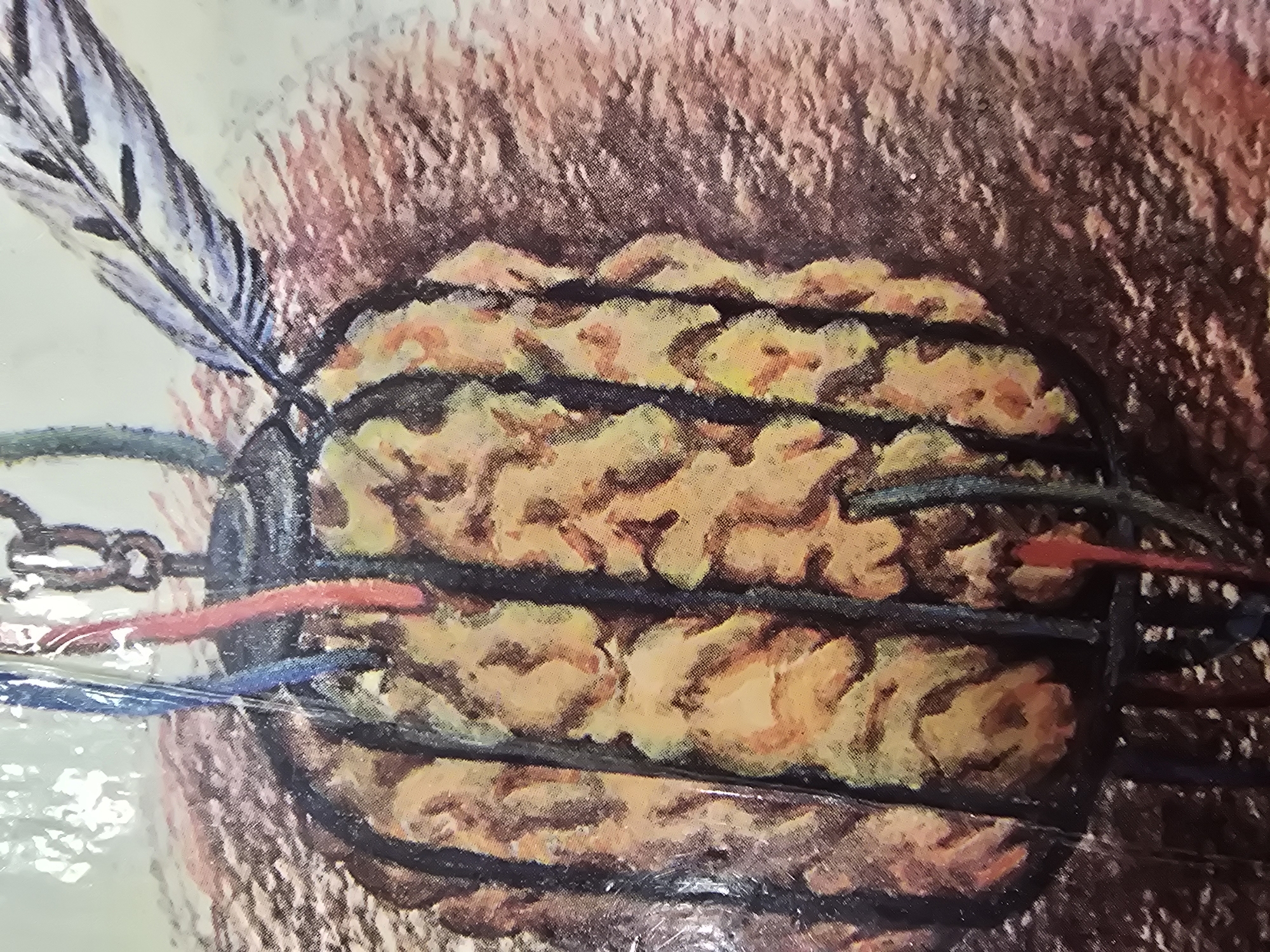 The image is a close-up of a stylized representation of a brain encased in a cage-like structure, with a feather protruding from the top. The brain is depicted in shades of yellow and orange, with dark vertical bars creating the impression of confinement. Various colored wires or threads are attached to the cage and the brain, including red and blue. A chain is visible at the top, suggesting the object is suspended. The background is textured and appears to be a rough, reddish-brown surface, possibly representing skin or earth. The overall impression is abstract and symbolic rather than realistic. There is no visible indication of the location in Ulan-Ude, Russia, as this appears to be an artistic or symbolic rendering.