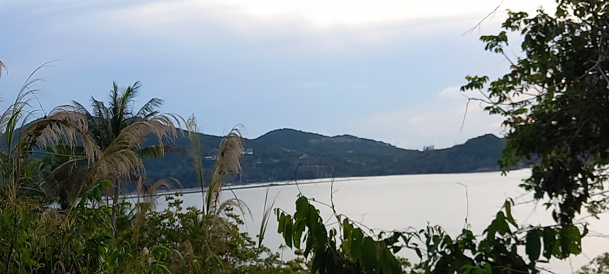 The image captures a coastal view in Baan Chaloklum, Thailand, with a foreground of verdant vegetation that includes tall grasses and trees. A body of water stretches across the middle ground, meeting a hilly landmass in the background. The sky is light blue, indicating daylight, and partially obscured by clouds. The scene is still and appears to be captured from a stationary position.