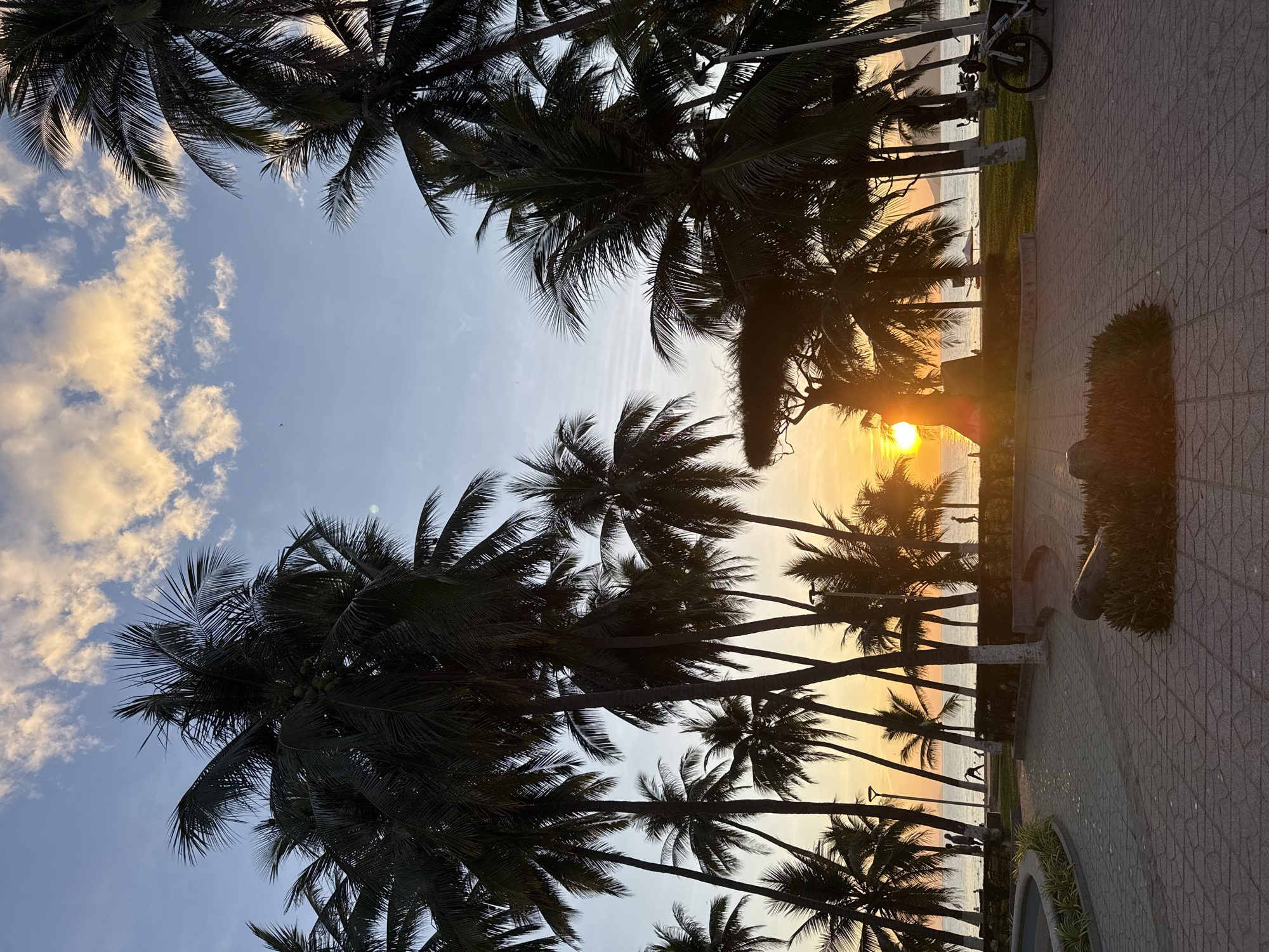 This vertical, low-angle shot captures a sunset view along a promenade in Nha Trang, Vietnam, likely near the city center. The sky is a gradient of pale blue at the top, transitioning to soft yellow and orange hues near the horizon, illuminated by a bright sun. Scattered, wispy clouds are visible.
Dominating the foreground and midground are numerous silhouetted palm trees, their fronds dark against the bright sky and sea. A paved walkway, laid with interlocking gray tiles, curves through the scene. In the immediate foreground, a low, rectangular planter filled with dark green grass and a dark, cylindrical object, possibly a cannon, lies on the tiles.
Further back, the promenade widens and features curved planters with bright green foliage. Several figures are visible walking or standing along the promenade and on the beach. A few white-painted tree trunks are interspersed among the palm trees. Beyond the promenade and beach, the calm sea stretches to the horizon, with a few boats and an umbrella visible on the distant water and shore. The overall atmosphere is tranquil and serene, characteristic of a beachside sunset. A bicycle is parked on the right side of the image, leaning against a lamppost.